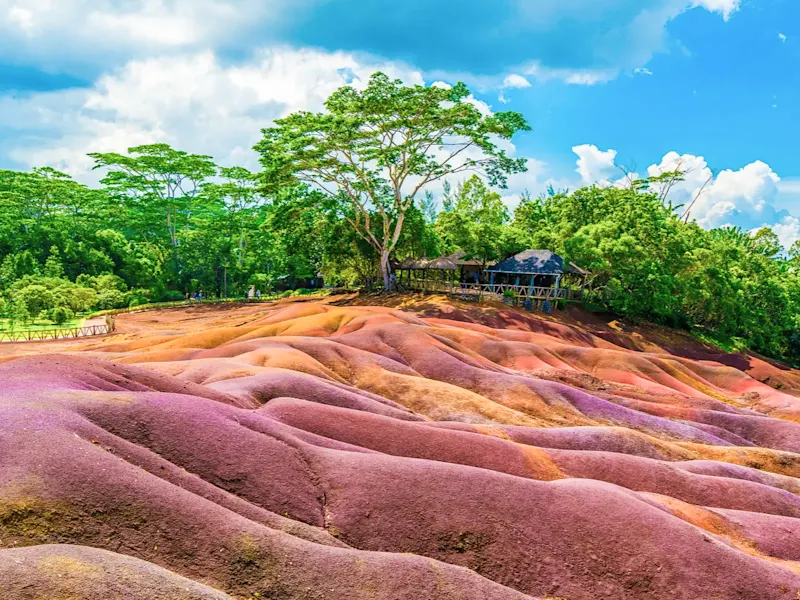 Mauritius, Chamarel, Siebenfarbige Erde Bunte Sanddünen Siebenfarbige Erde mit Bäumen im Hintergrund. Chamarel, Mauritius.