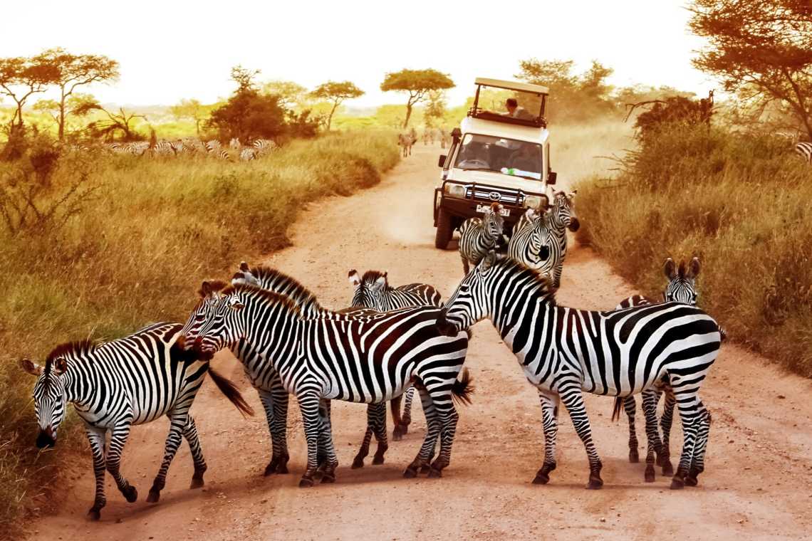Die Trockenzeit ist ein guter Zeitpunkt für eine Safari in Kenia