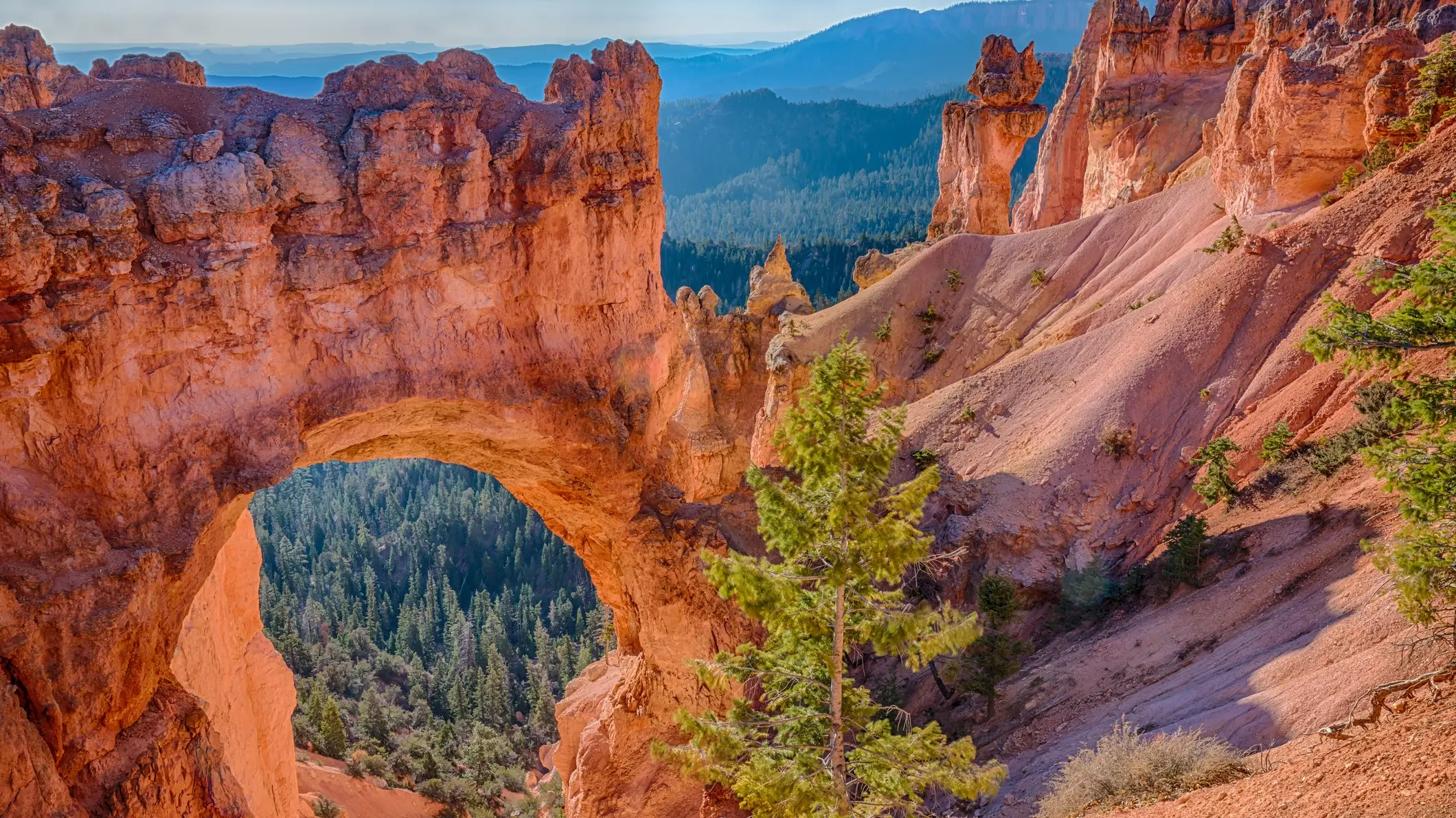 États-Unis, Utah, Parc national de Bryce Canyon Arche naturelle en grès rouge dans le Parc National de Bryce Canyon, surplombant une forêt de pins et des montagnes lointaines.