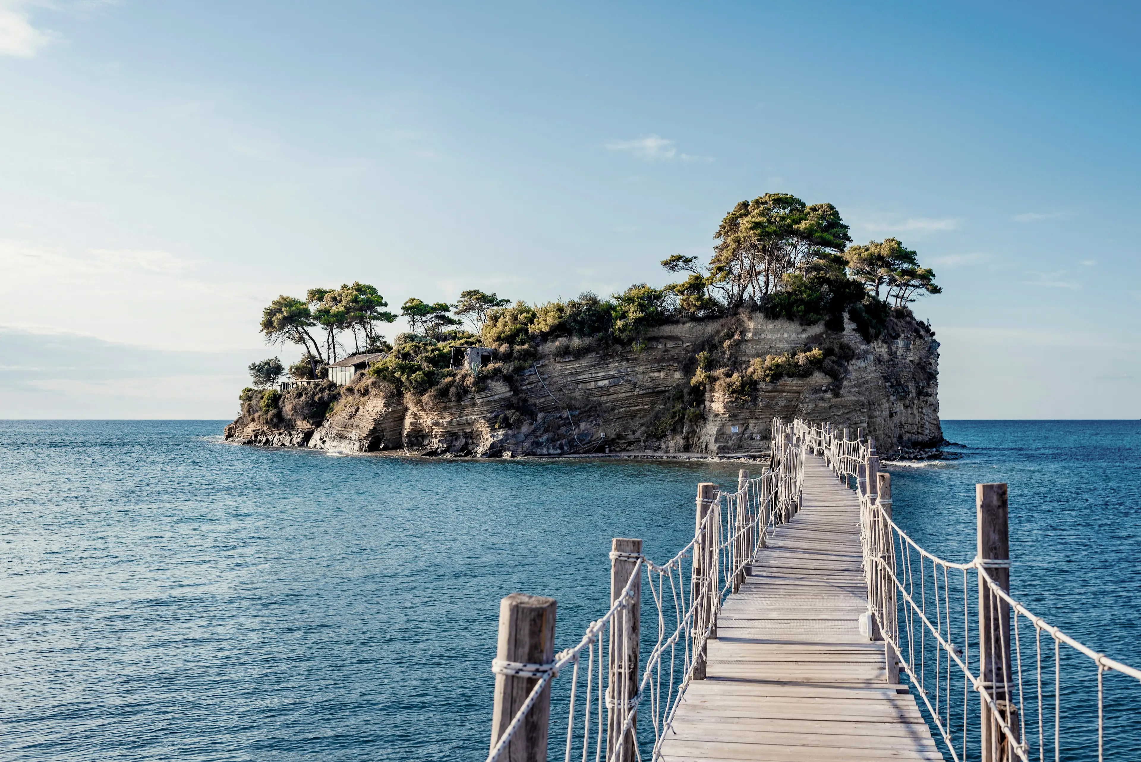 Neugeborene Schildkröte auf dem Sand