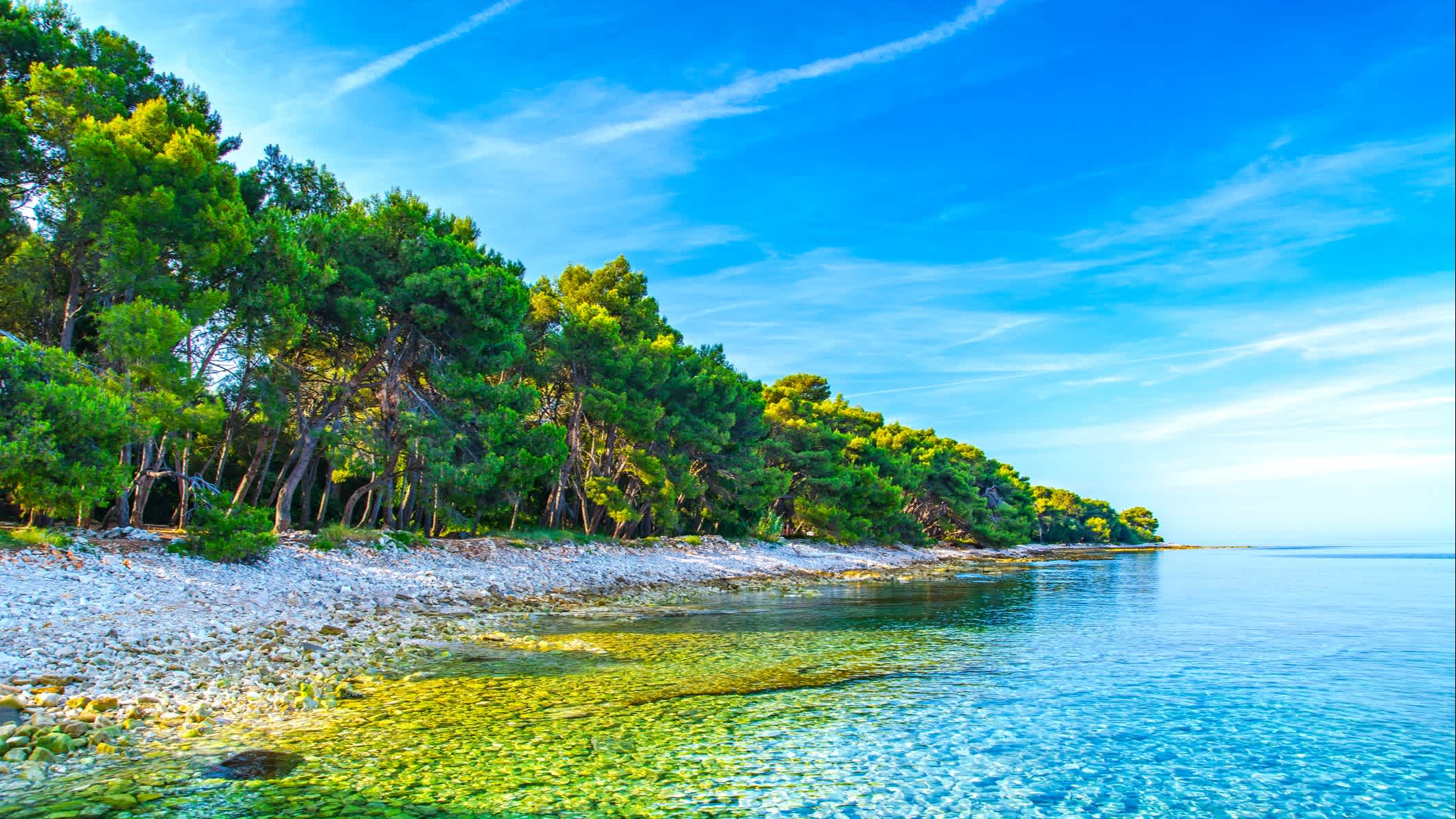 Adriaküste in der Nähe von Pula, Valbandon, Istrien, Kroatien.

