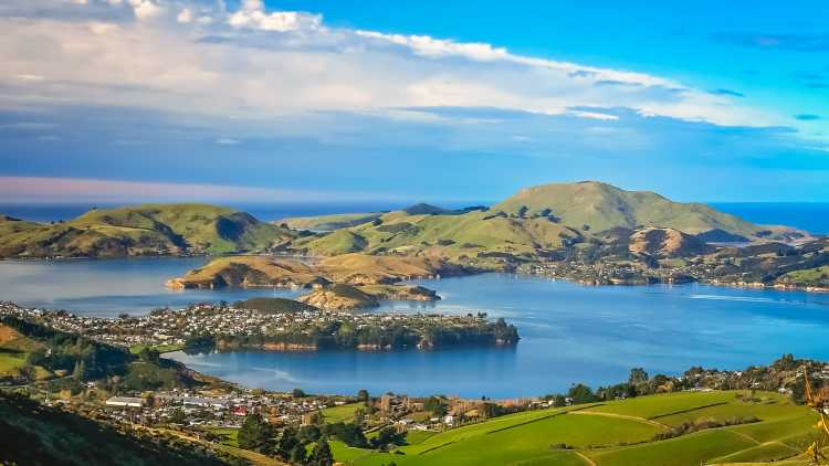 Dunedin Stadt und Bucht von den Hügeln aus gesehen, Südinsel, Neuseeland