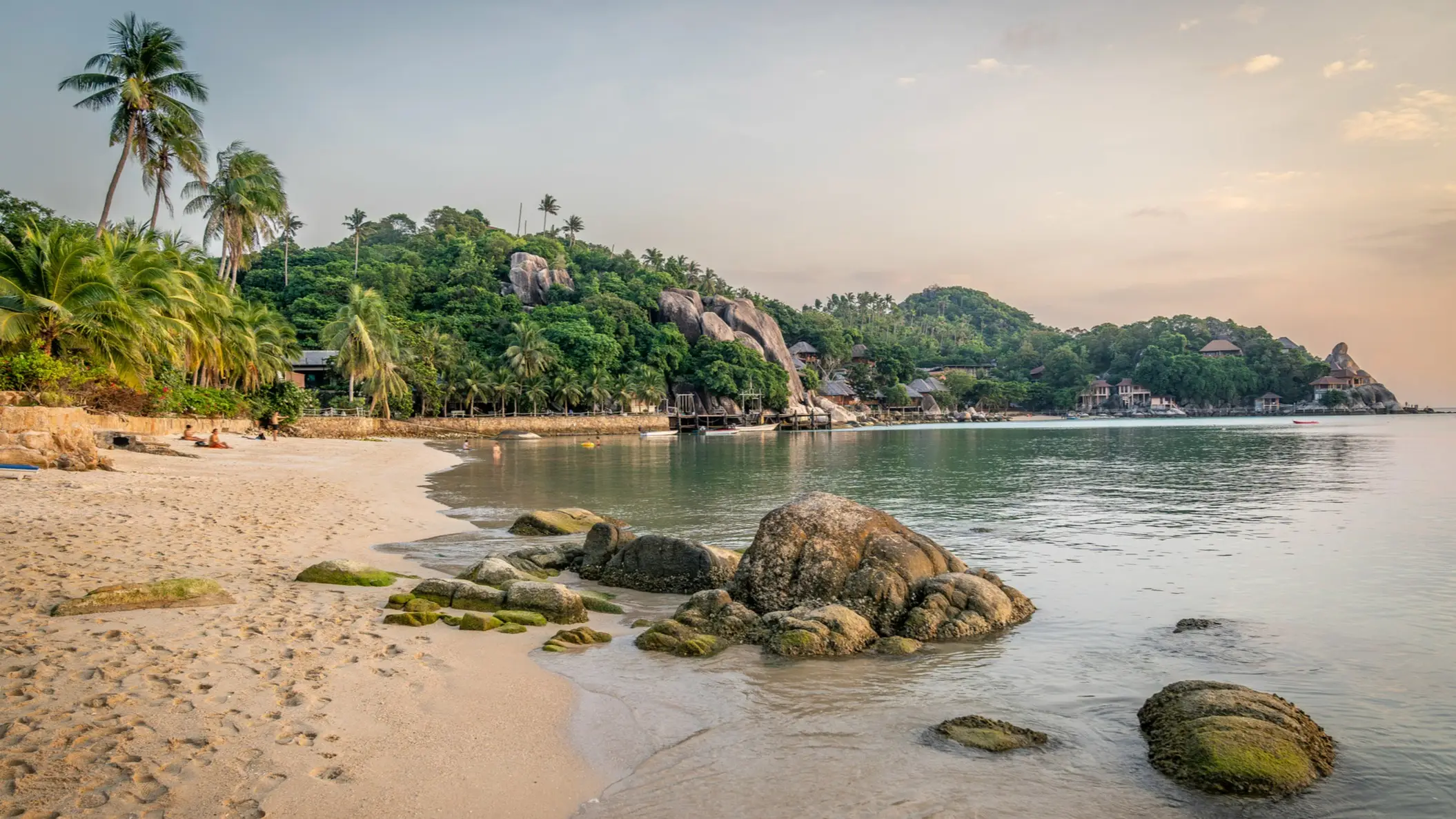 Ein tropischer Strand mit Palmen, Felsen und sanftem Wasser, Koh Tao, Thailand.