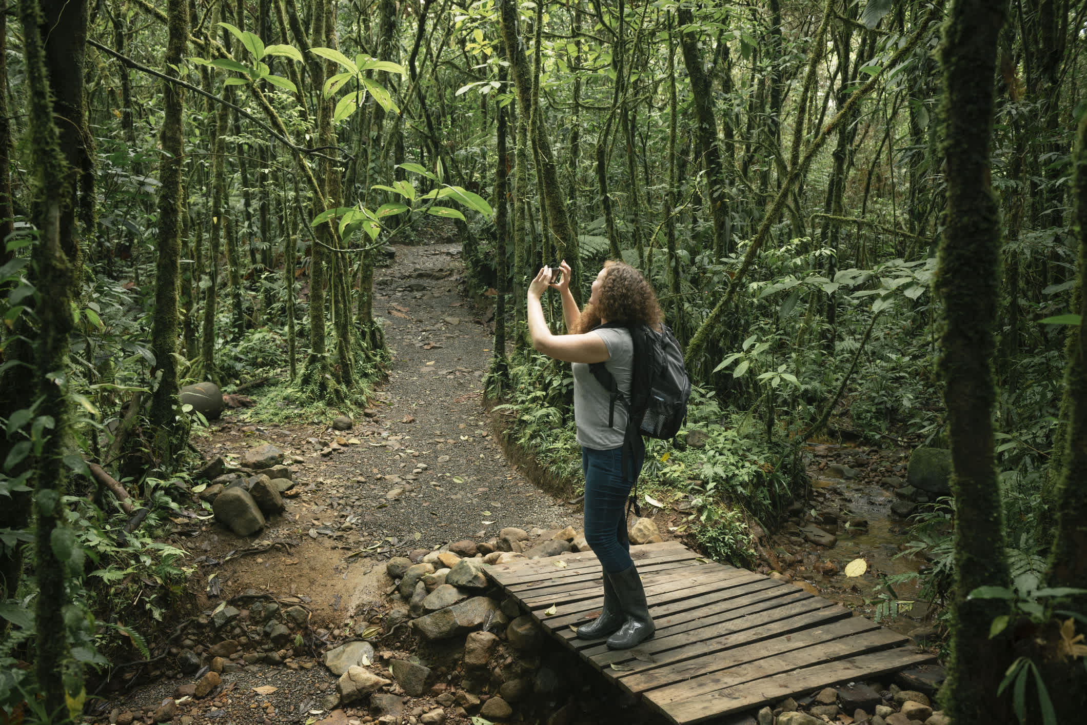 Frau nimmt Fotos auf Wanderung in den Regenwald von Costa Rica.