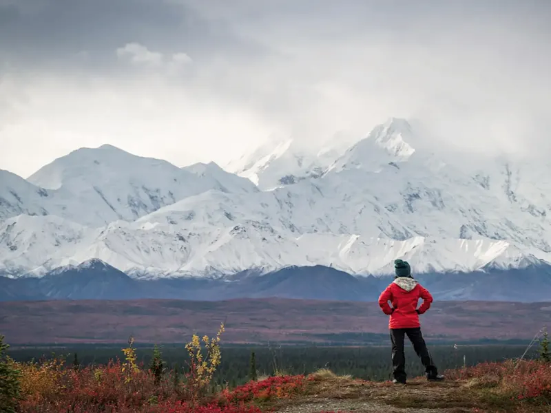 États-Unis, Alaska, parc national de Denali Personne devant le mont Denali enneigé et un paysage d'automne. Parc national de Denali, Alaska, États-Unis.