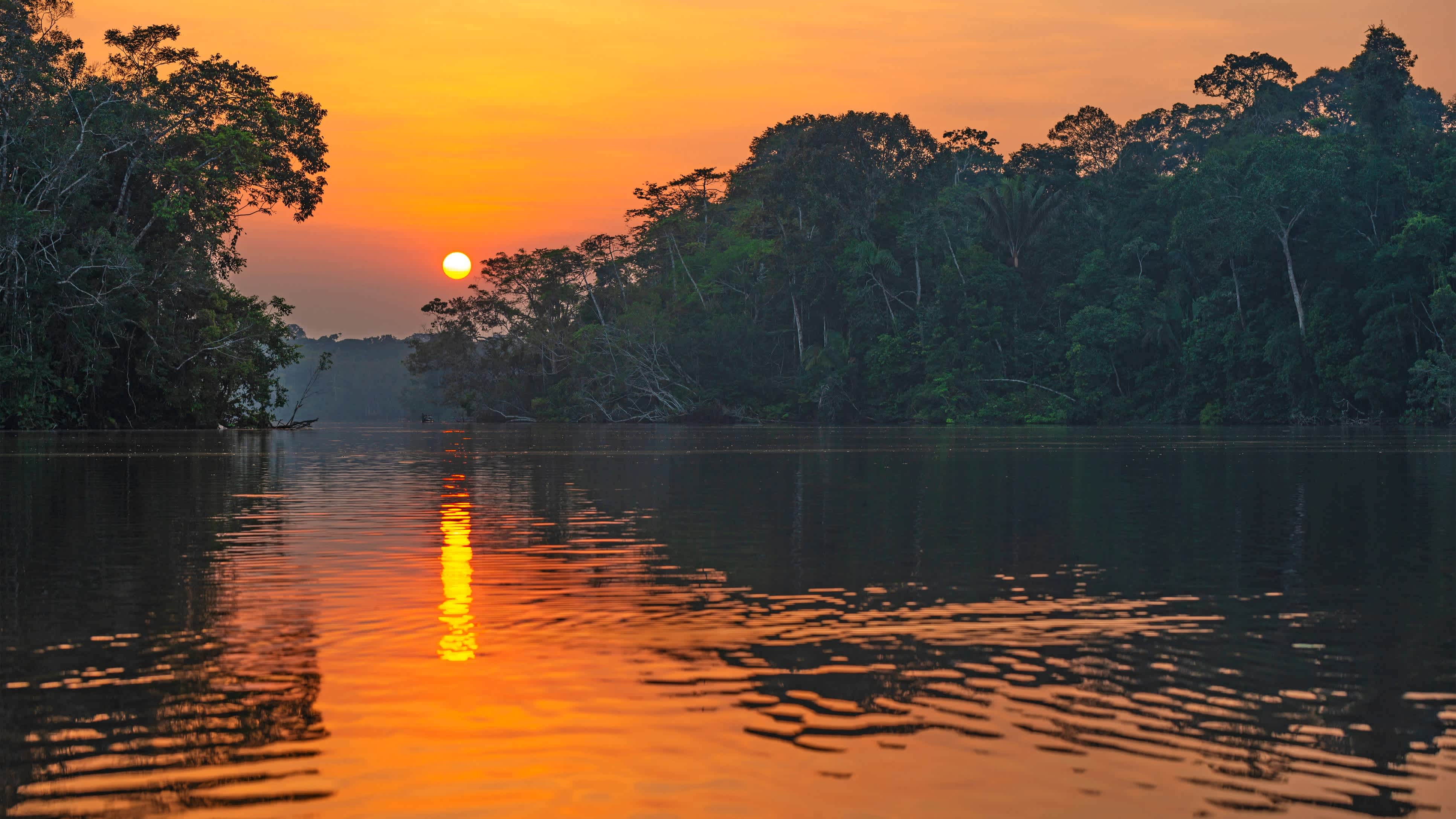 Spiegelung eines Sonnenuntergangs an einer Lagune im Amazonas-Regenwaldbecken, Yasuni-Nationalpark. 