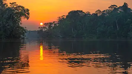 Reflet d'un coucher de soleil sur une lagune du bassin de la forêt amazonienne, parc national de Yasuni. 