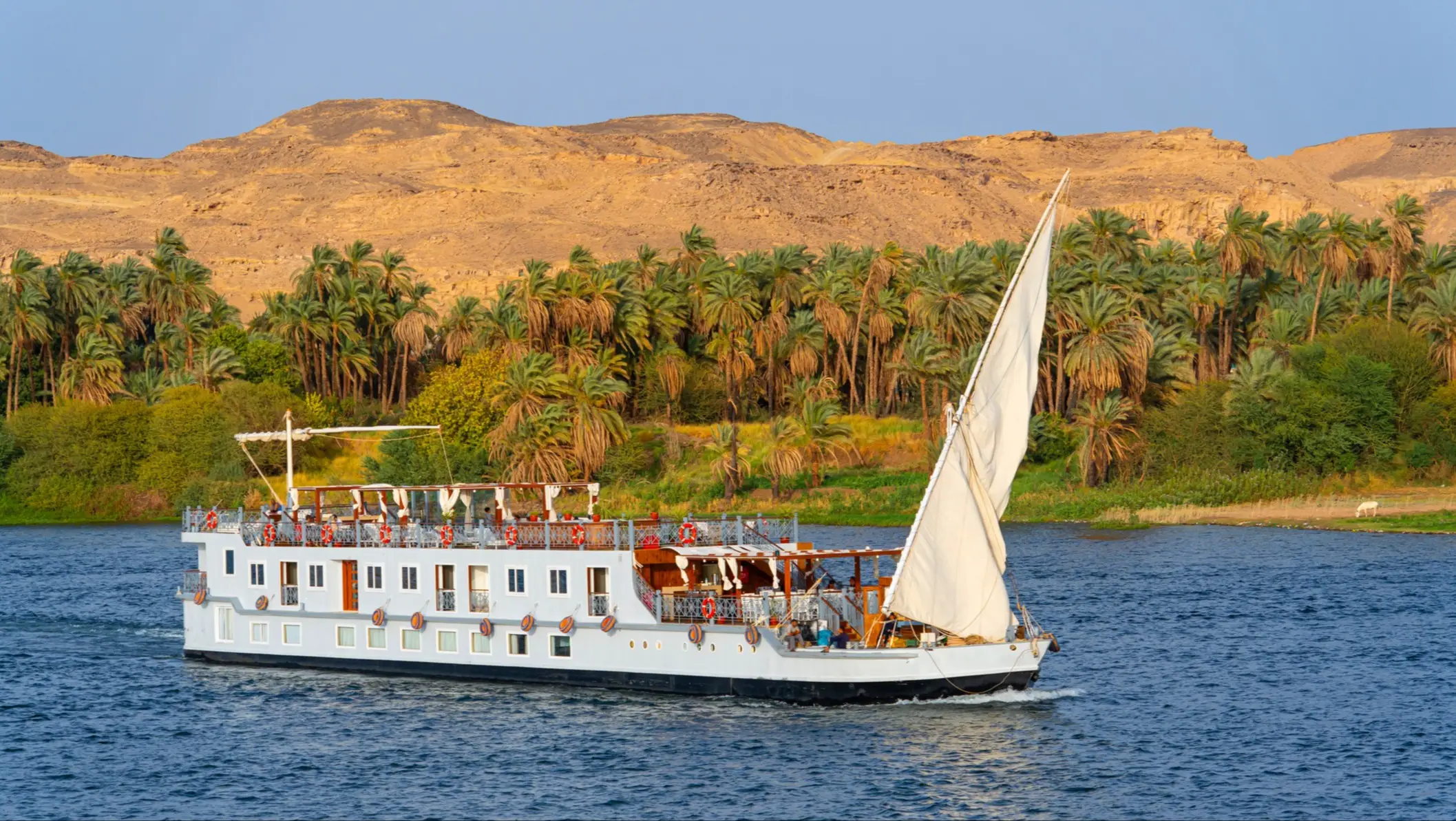 Ägypten, Nilkreuzfahrt, Luxor Nilkreuzfahrtschiff mit Segel auf blauem Wasser, umgeben von Palmen und goldenen Wüstenbergen unter klarem Himmel.