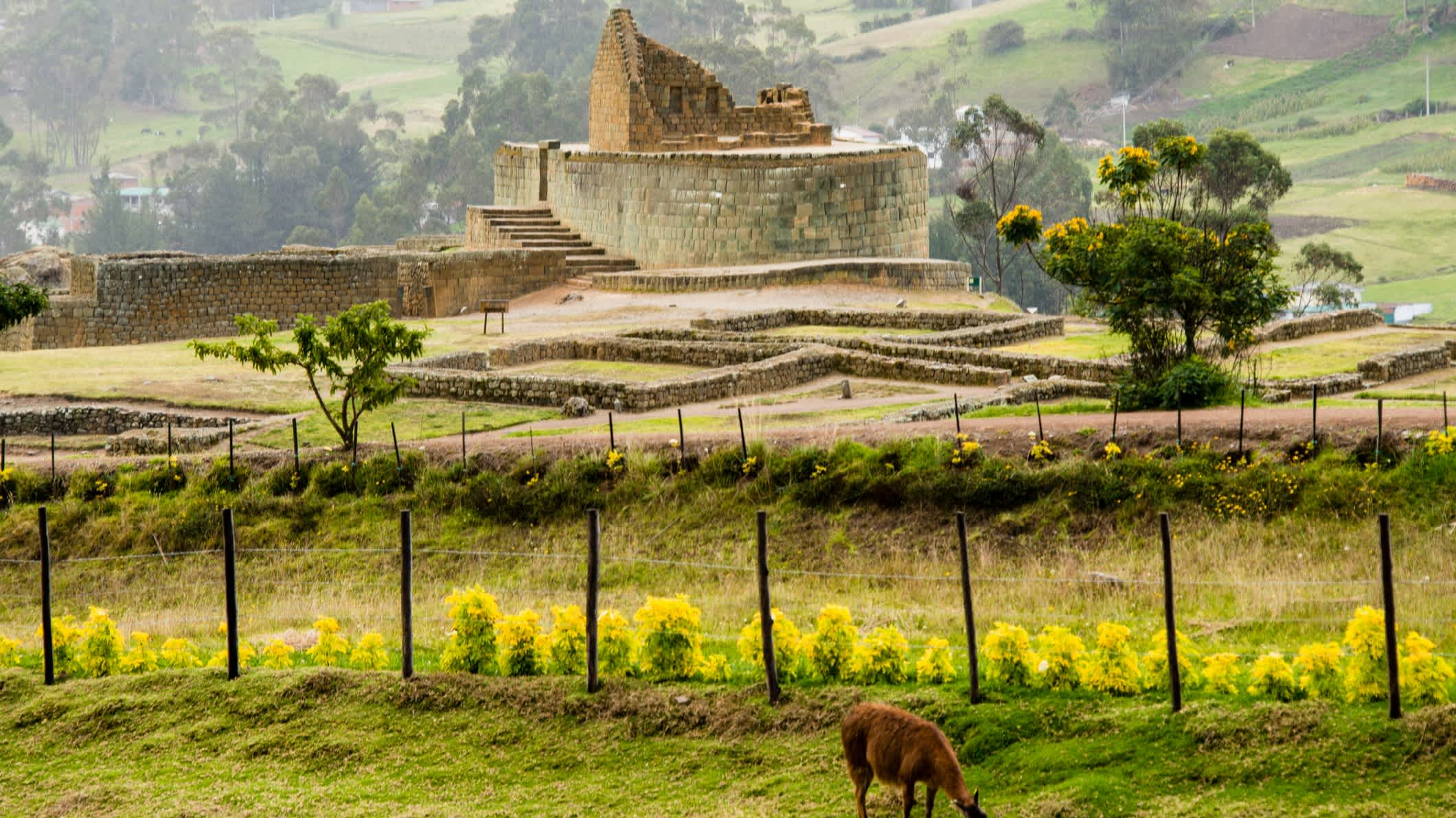 Vue de la ville inca d'Ingapirca en Équateur.