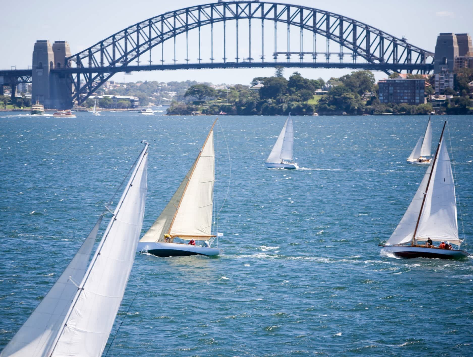 Segelboote im Hafen von Sydney.