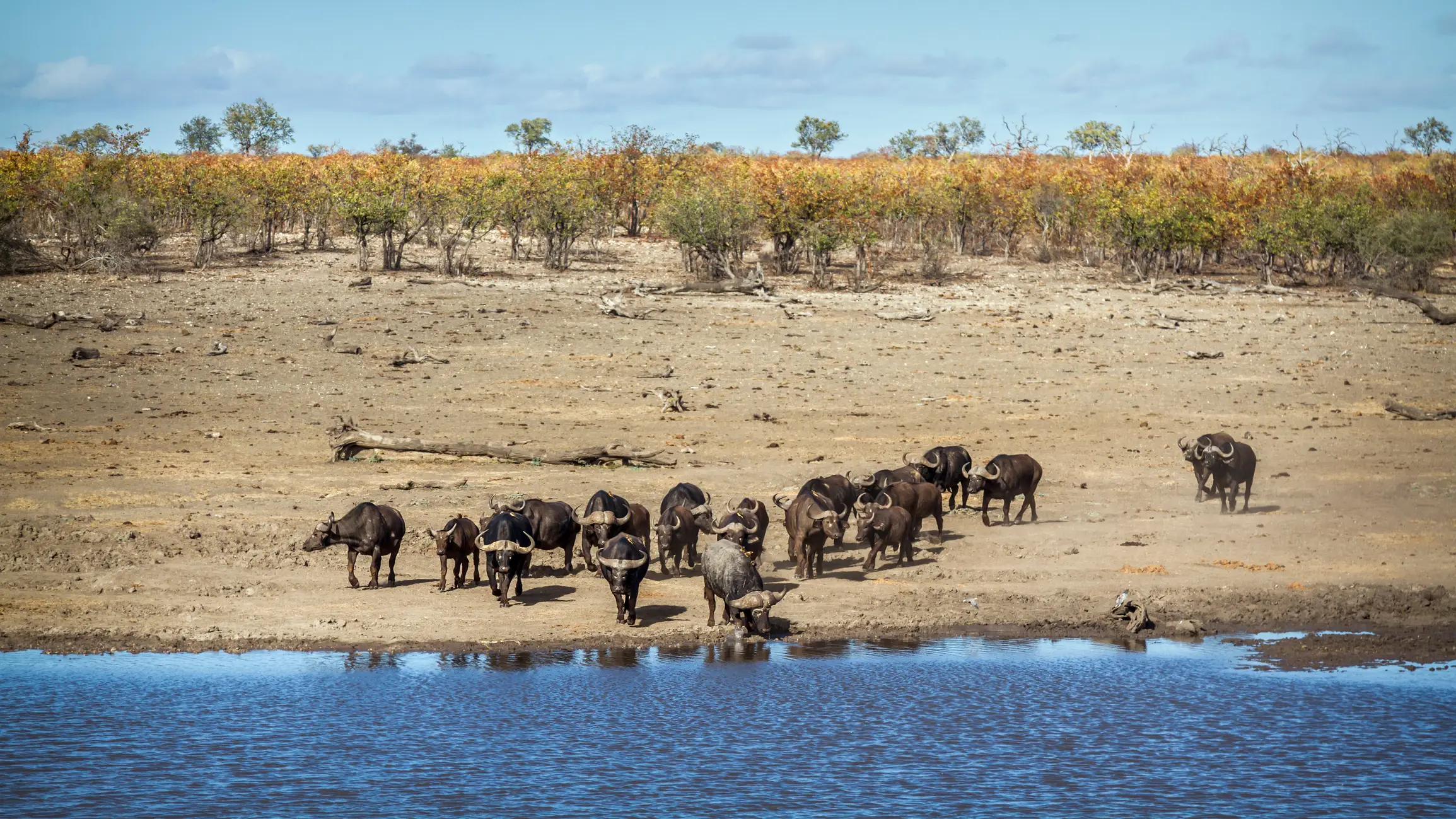 Mlilwane Wildlife Sanctuary