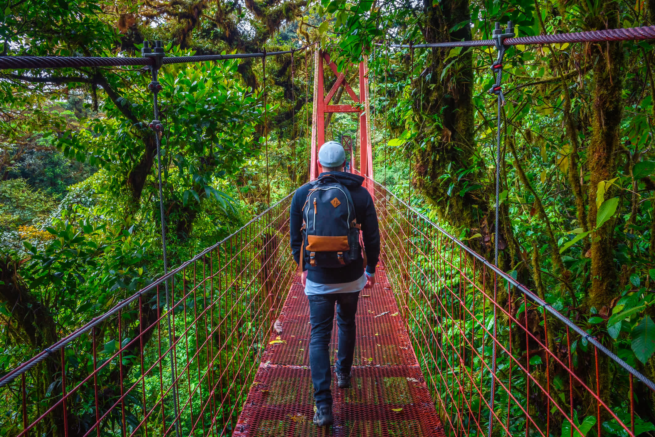 Tourist wandert auf einer Hängebrücke im Monteverde Cloud Forest, Costa Rica.