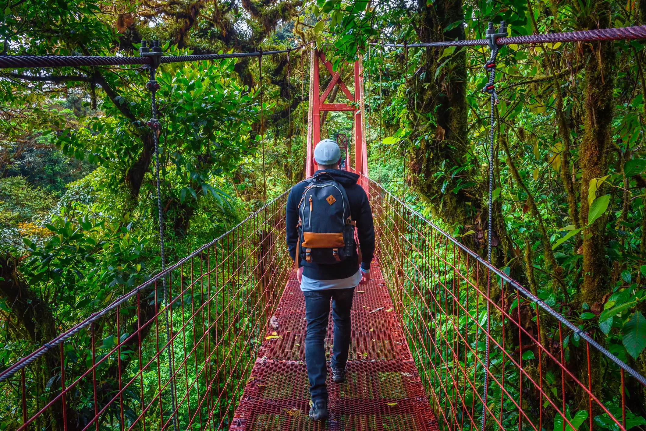 Costa Rica, Monteverde Cloud Forest Touriste se promenant sur un pont suspendu dans la réserve forestière de Monteverde, Costa Rica.