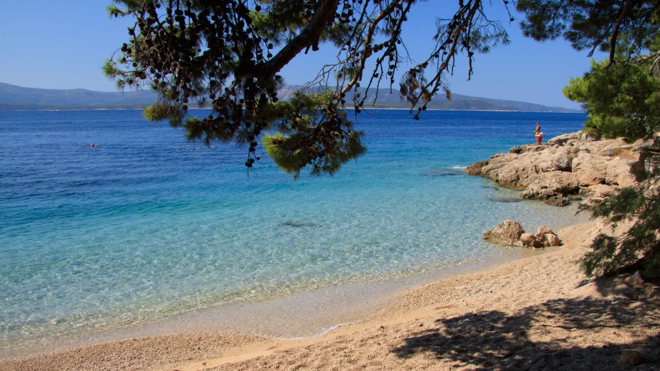 Der Strand Murvica, Insel Brac, Kroatien mit Blick auf das klare Wasser und due Felsen sowie einem Pinienbaum im Bild.