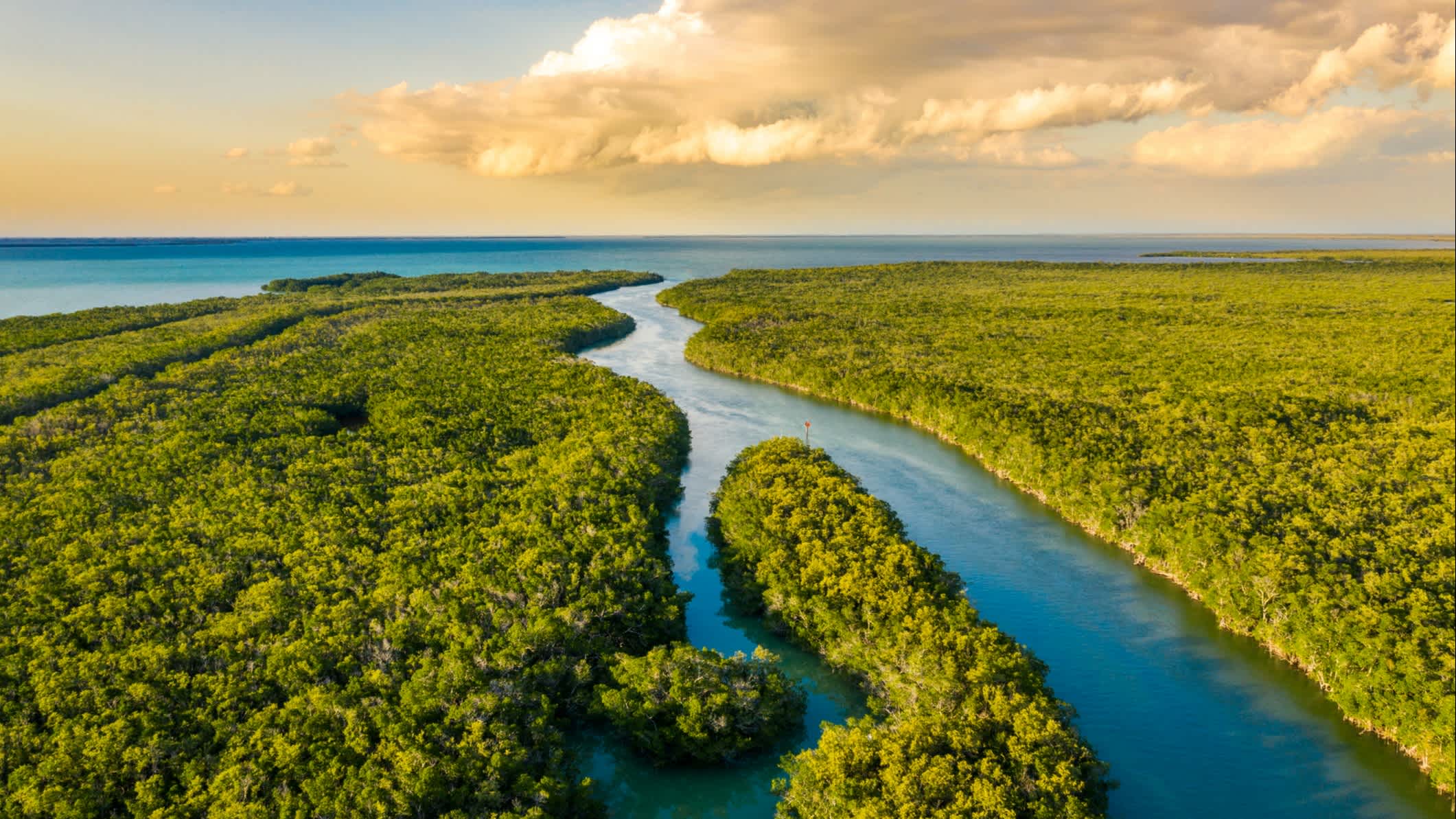 Landschaft mit Luftaufnahme von Feuchtgebieten im Everglades National Park bei Sonnenuntergang