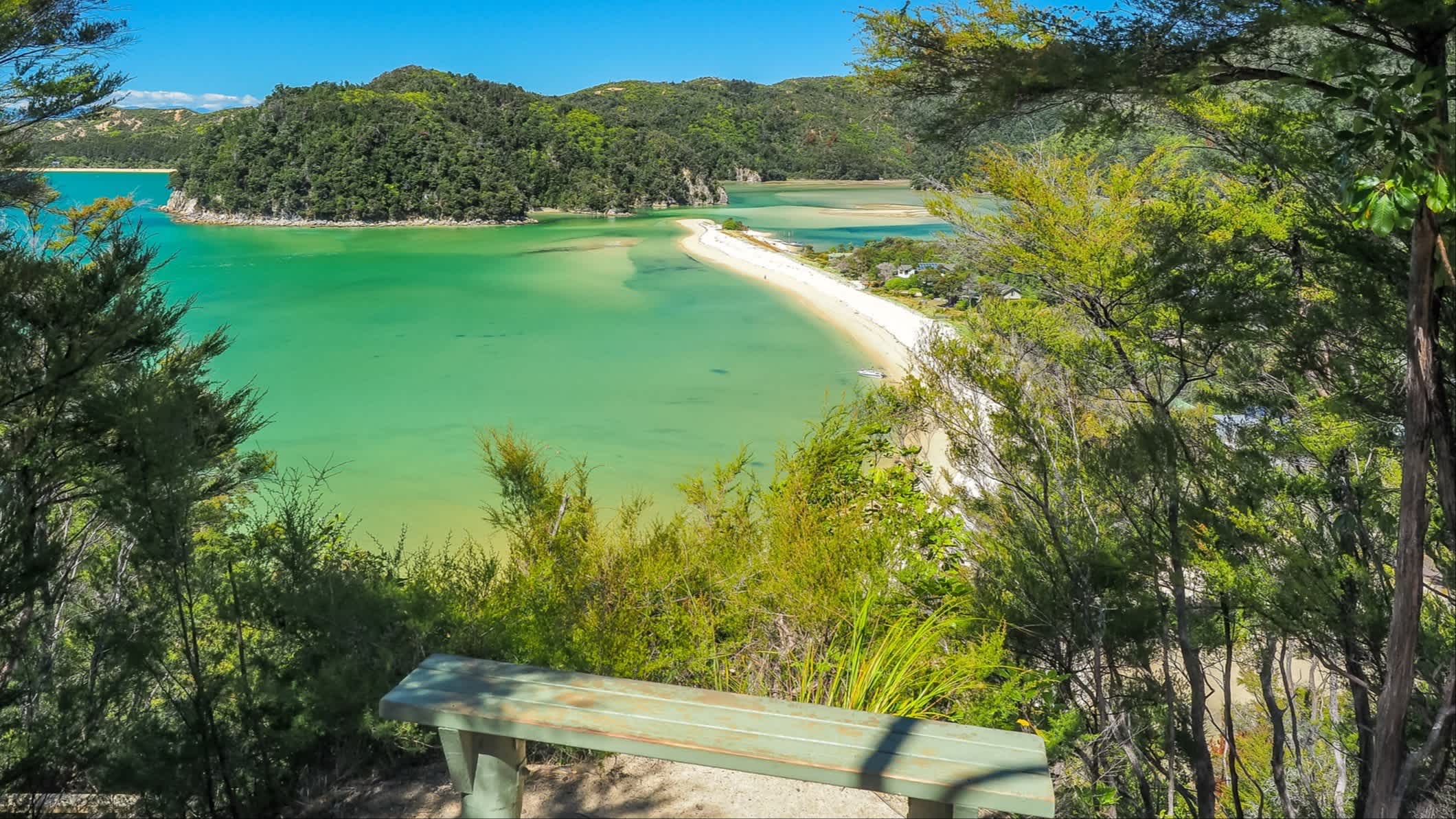 Die Bucht Torrent Bay im Abel Tasman National Park, Neuseeland, mit Blick durch dichtes Grün auf den Strand und das grüne Meer.