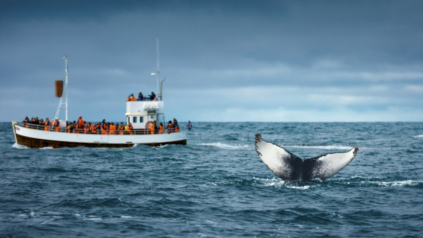 Quand partir en Islande ? Guide de voyage | Tourlane