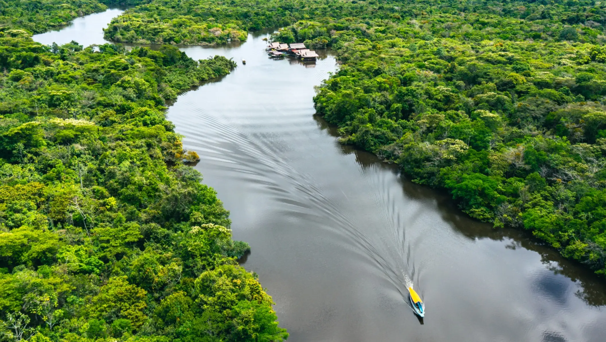 Vue aérienne de la forêt amazonienne au Pérou.