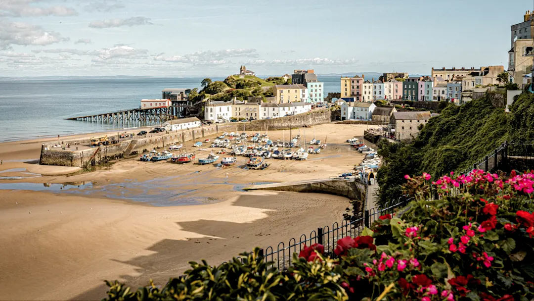 Malebener Hafen mit bunten Häusern und Blumen im Vordergrund. Tenby, Pembrokeshire, Wales.