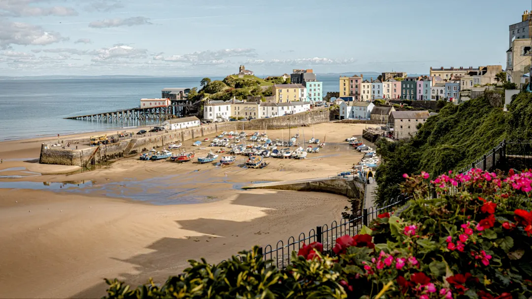 Malebener Hafen mit bunten Häusern und Blumen im Vordergrund. Tenby, Pembrokeshire, Wales.