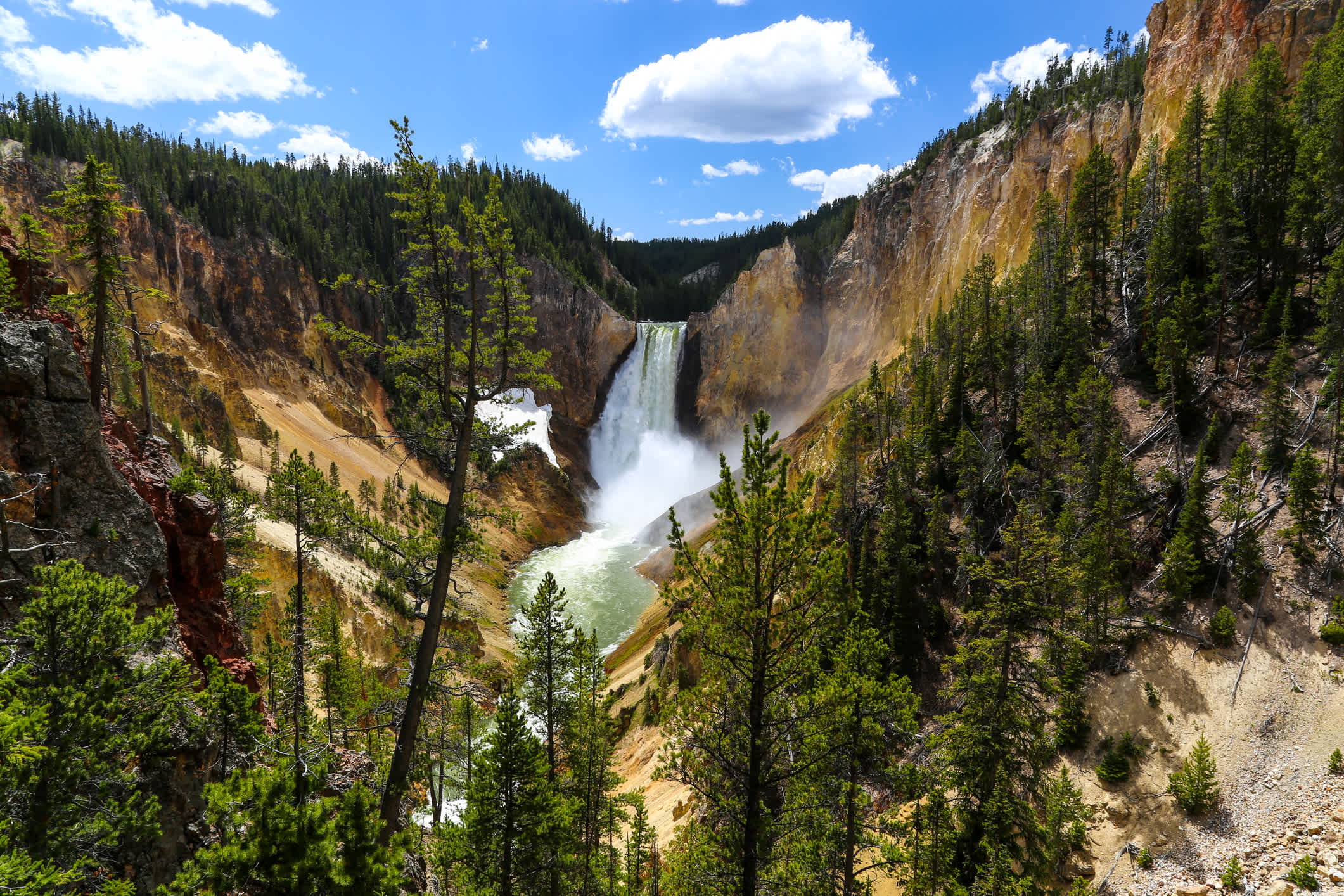 Lower Falls, der größte Wasserfall im Yellowstone, ist mit 308 Fuß der berühmteste im Park und liegt im Grand Canyon des Yellowstone