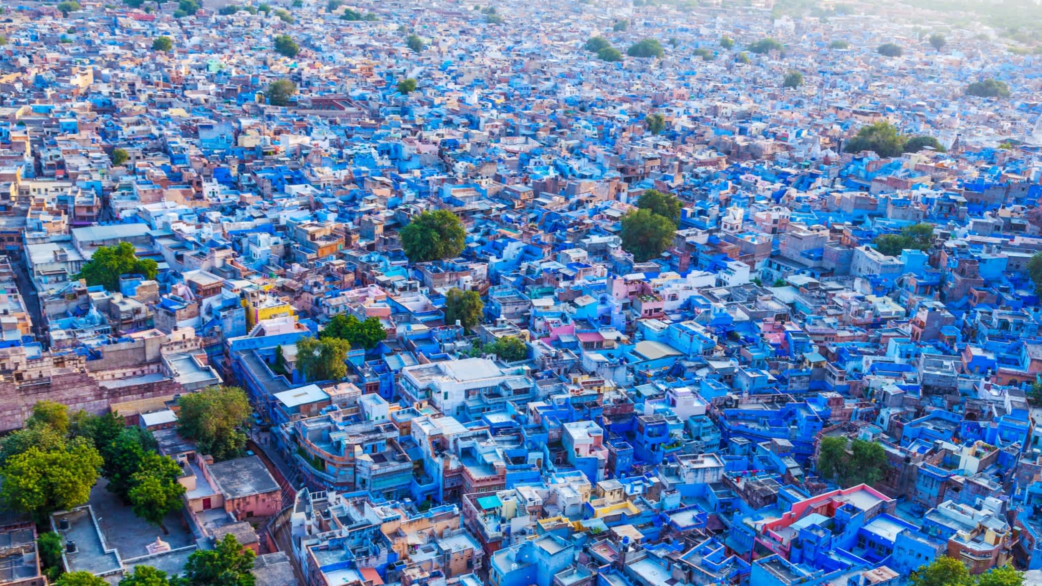 Vue aérienne sur la ville bleue de Jodhpur reconnaissable à ses maisons bleues.