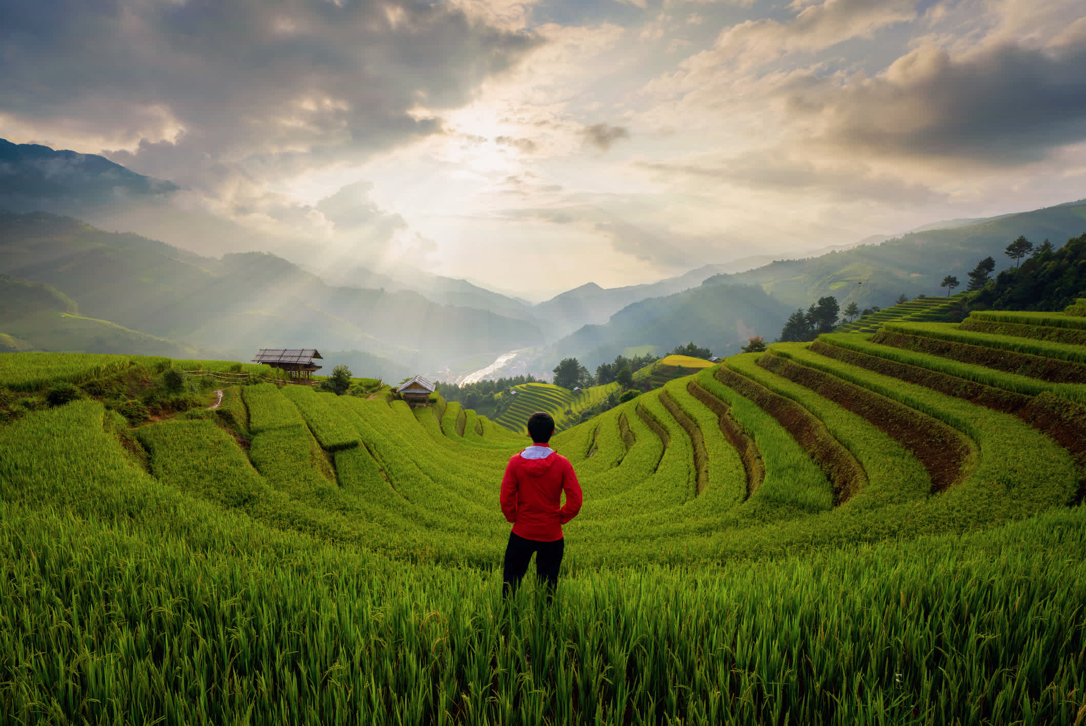 Reisterrassen, landwirtschaftliche Felder in der Landschaft von Mu Cang Chai, Yen Bai