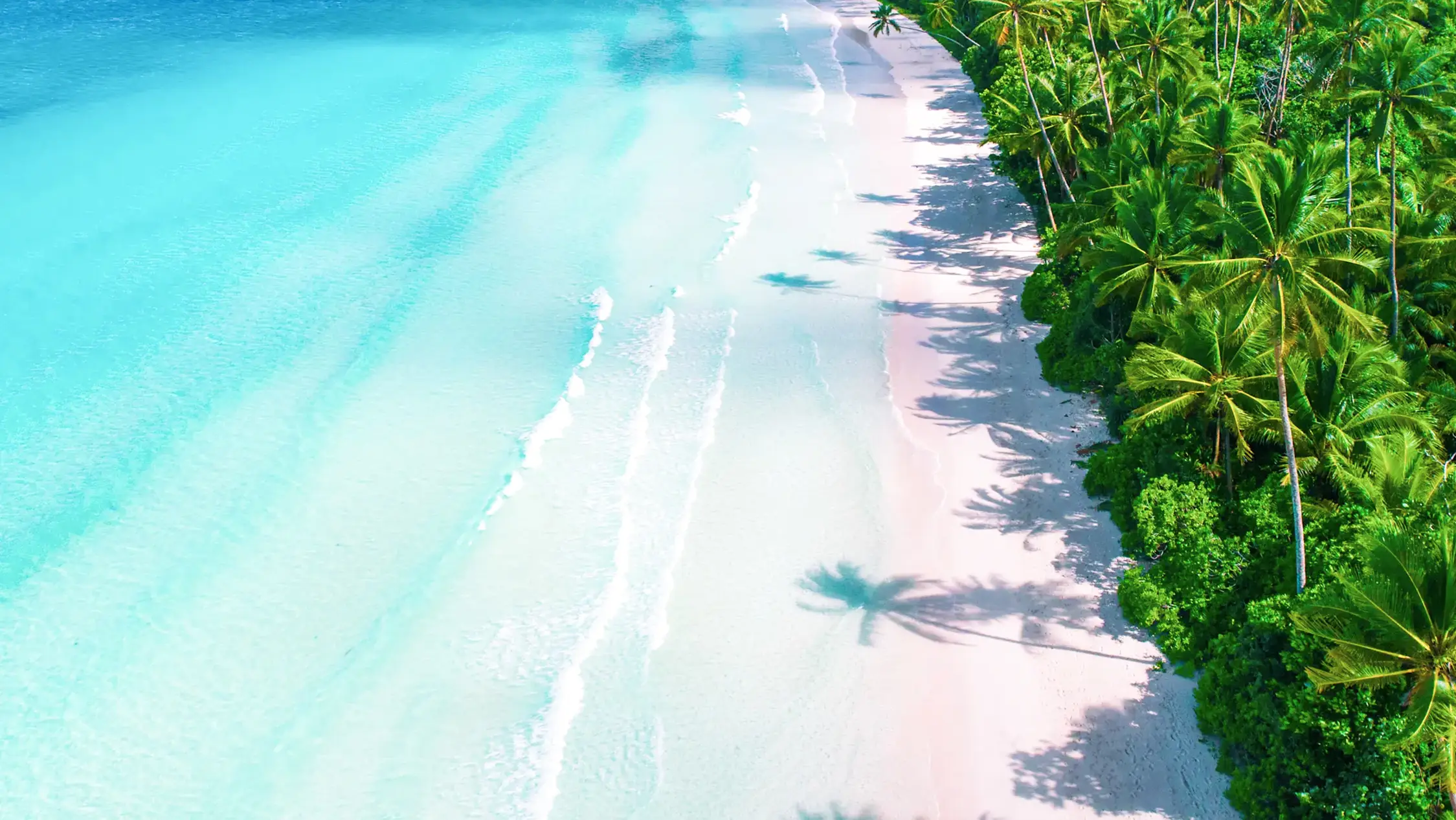 https://www.tourlane.de/asien/malediven/mit-kindern/ Luftaufnahme eines tropischen Strandes mit Palmen, Maafushi, Kaafu, Malediven.