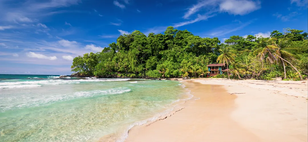 Tropischer Sandstrand mit Palmen und klarem Wasser. Bocas del Toro, Panama.