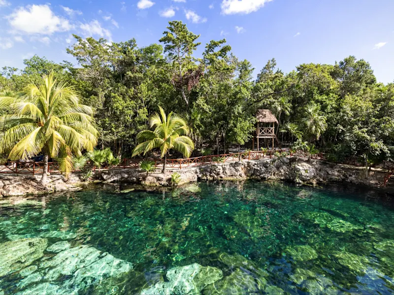 Mexiko, Yucatan Palmen und kristallklares Wasser in Yucatan