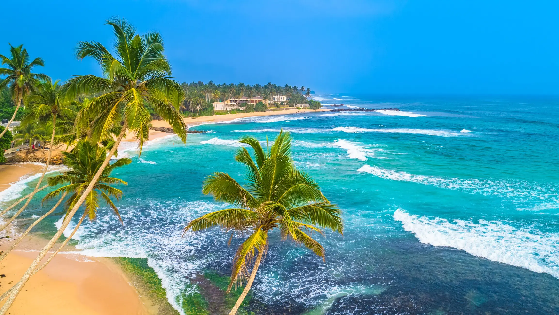 Vue sur la plage au sable doré et à l'eau turquoise de Jungle Beach près d'Unawatuna