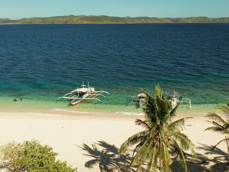 Dichte tropische Vegetation und klares Wasser rund um Isla Solarte