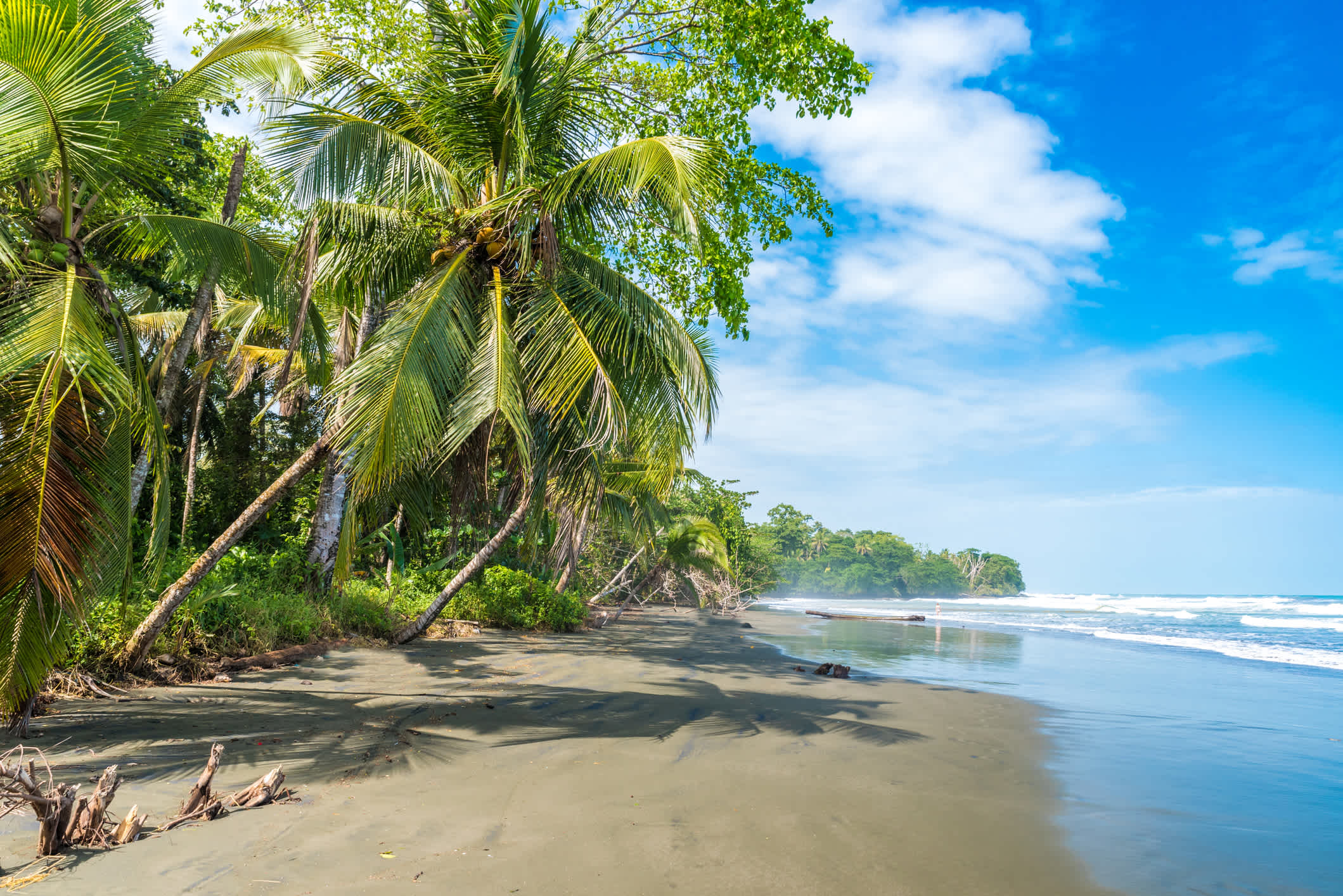 La playa Negra bordée de palmiers au Costa Rica.