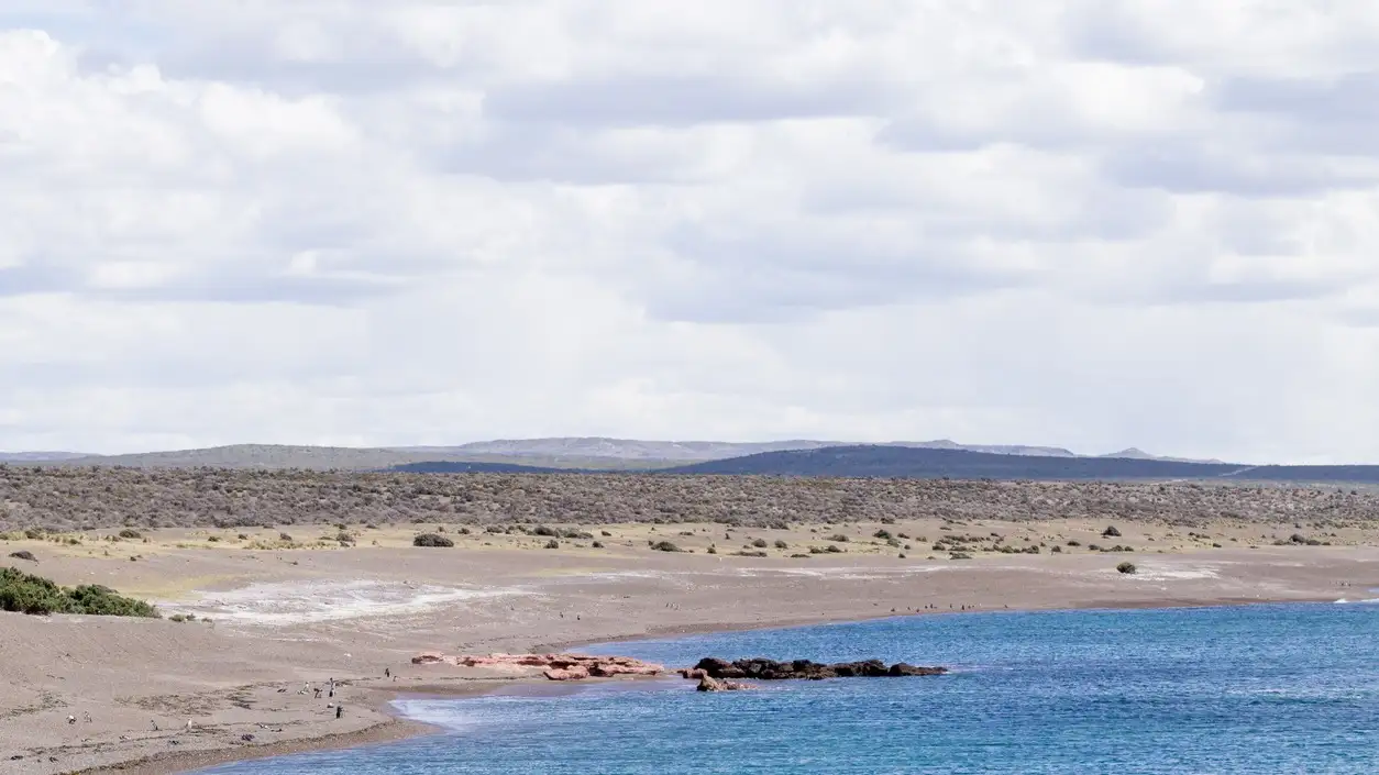 Punta Tombo, Patagonie, Argentine Vue de jour de la plage de Punta Tombo, Patagonie, Argentine