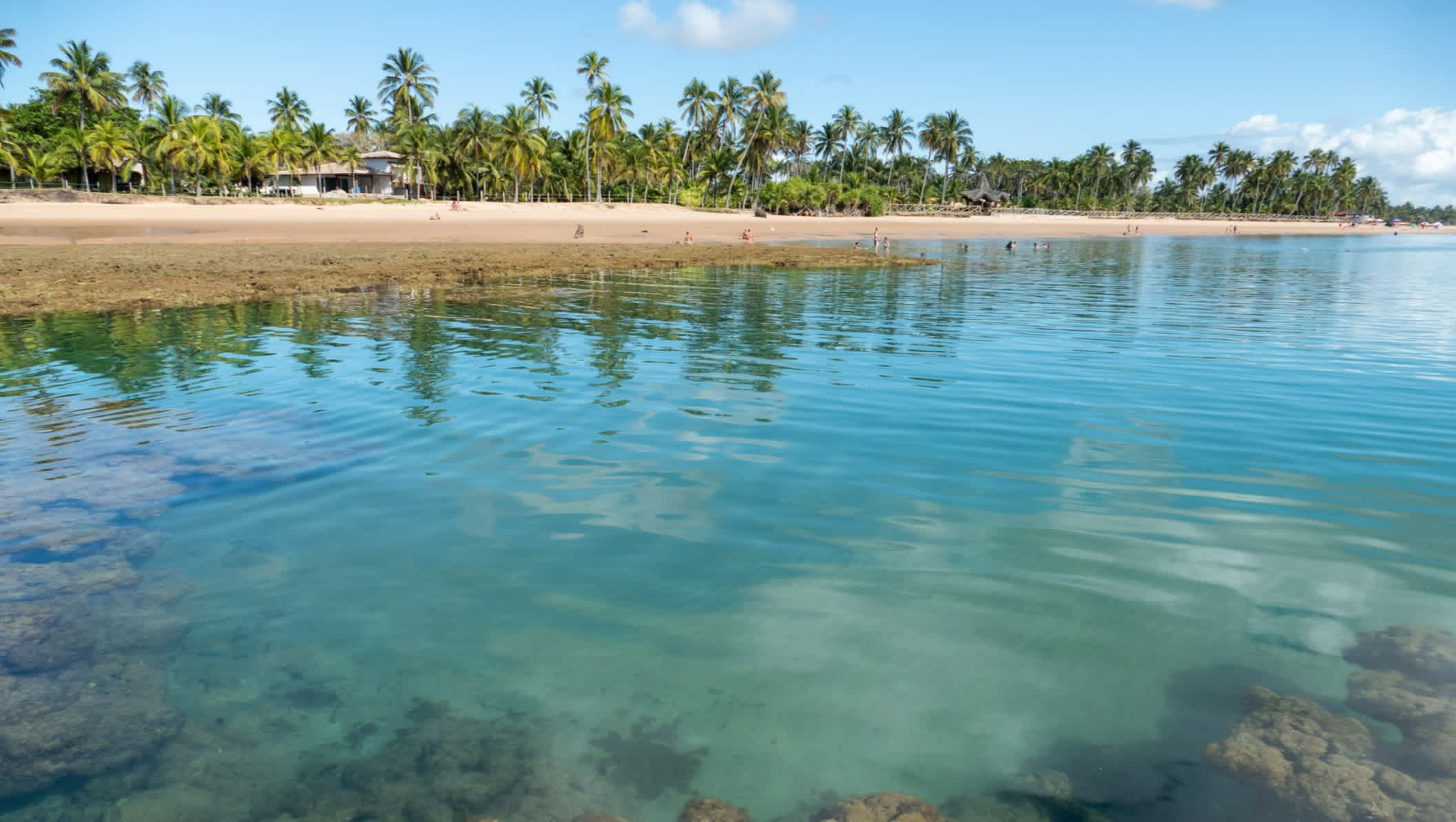 Reflet des palmiers dans les eaux cristallines de la plage de Taipus de Fora, Marau, Brésil