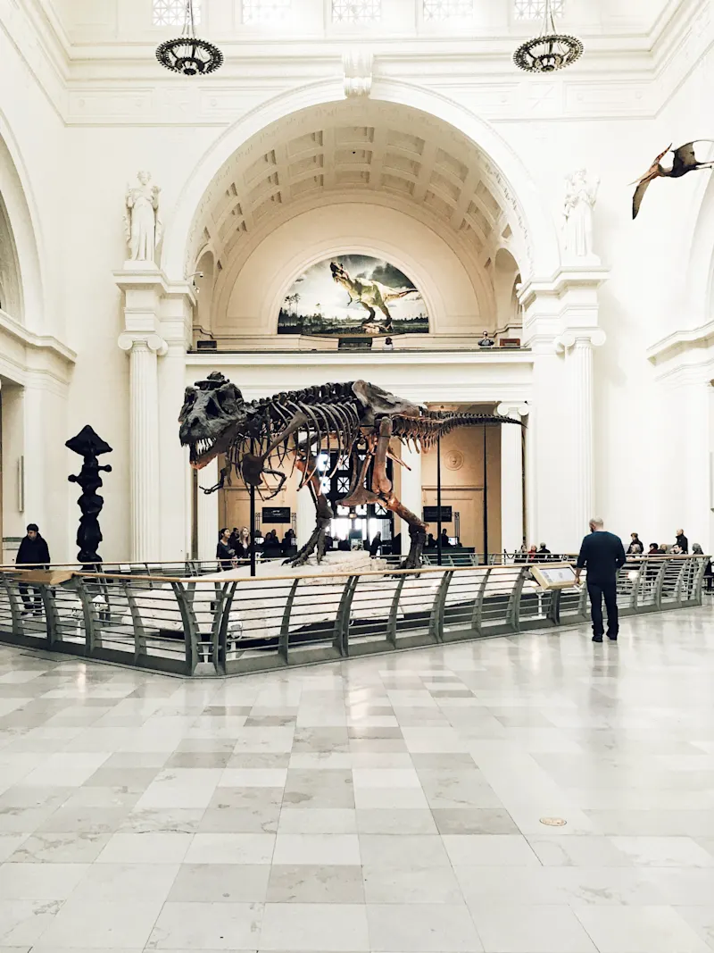 Squelette de T-Rex exposé dans un musée d'histoire naturelle à Chicago avec architecture néoclassique et visiteurs observant l'exposition.