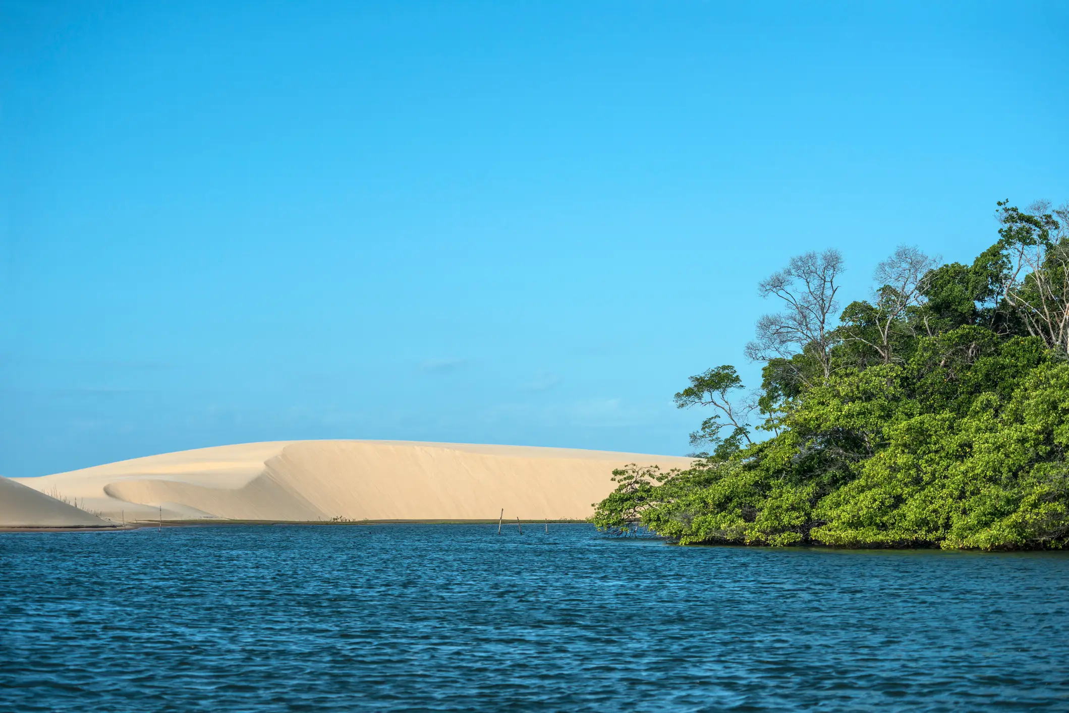 Brasilien, Delta do Parnaiba Die Landschaft von Parnaiba-Fluss im Nordosten Brasiliens.