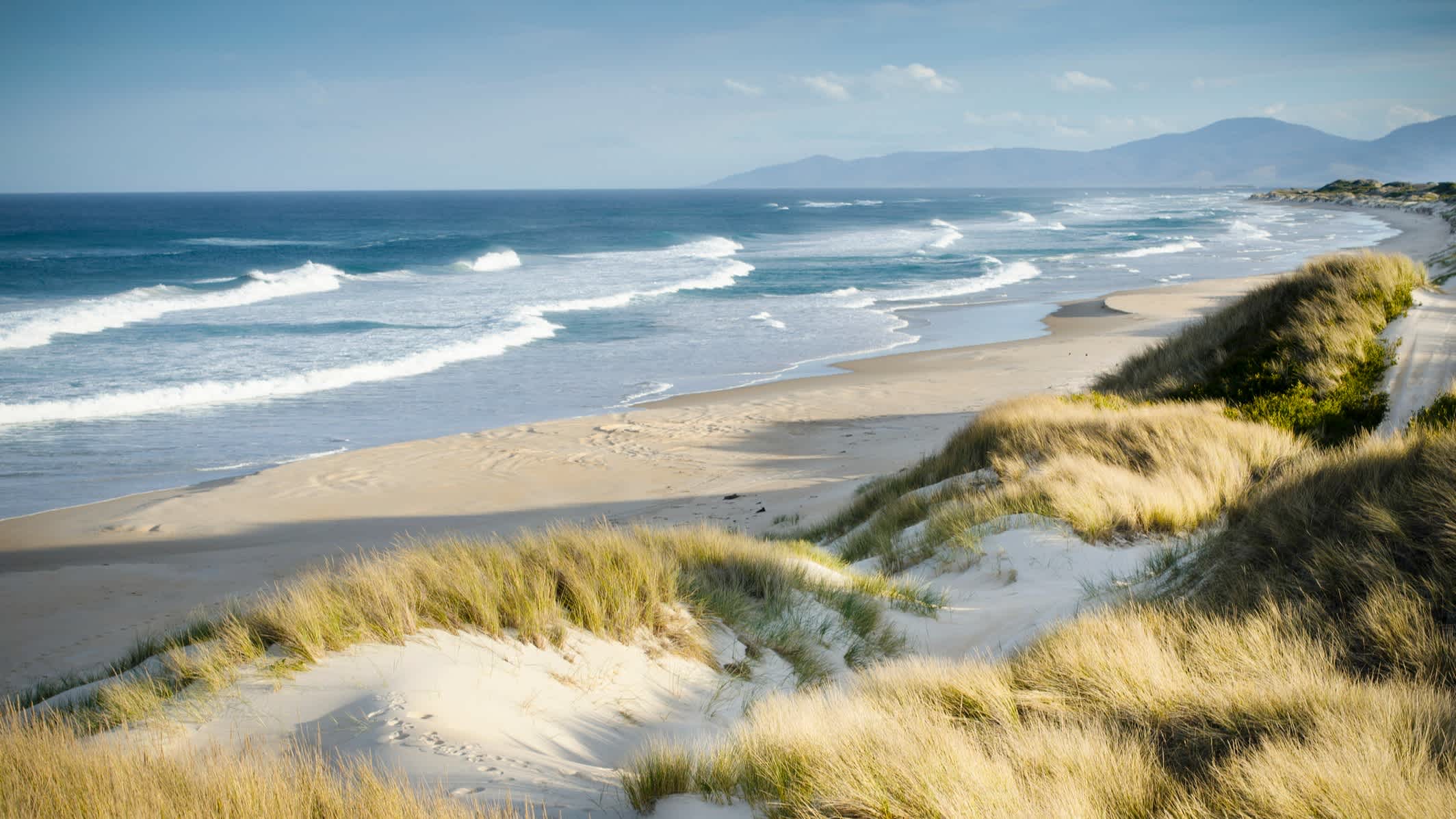 Wilde Küstenlandschaft von Marouard Beach, Tasmanien, Australien