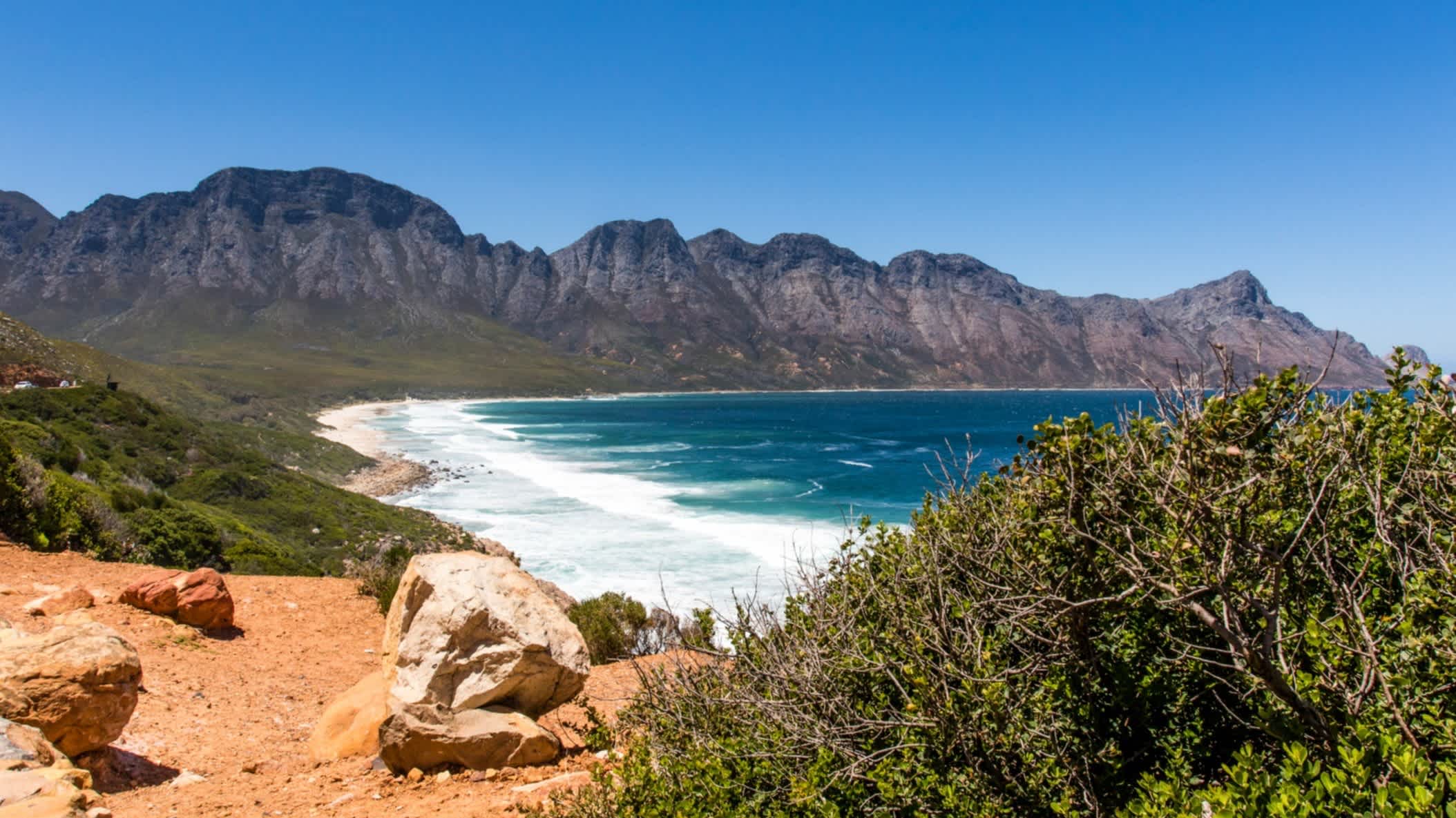 Meerblick auf die Gordons Bay im Westkap Südafrika b ei sonnigem Wetter und mit Büschen im Vordergrund. 