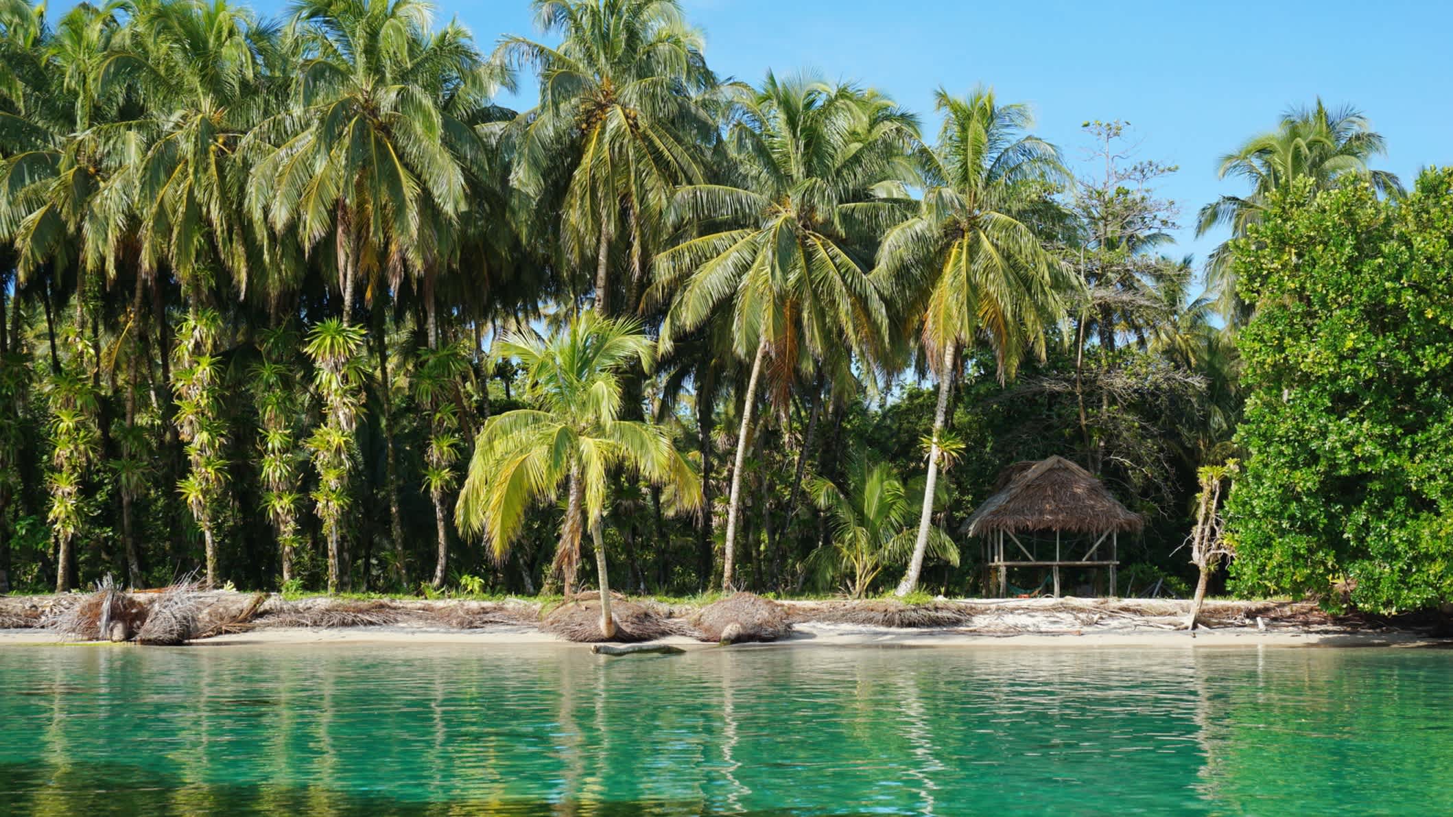 Tropisches Ufer mit üppigen Kokospalmen und einer strohgedeckten Hütte, Karibik, Zapatillas-Inseln, Bocas del Toro, Panama