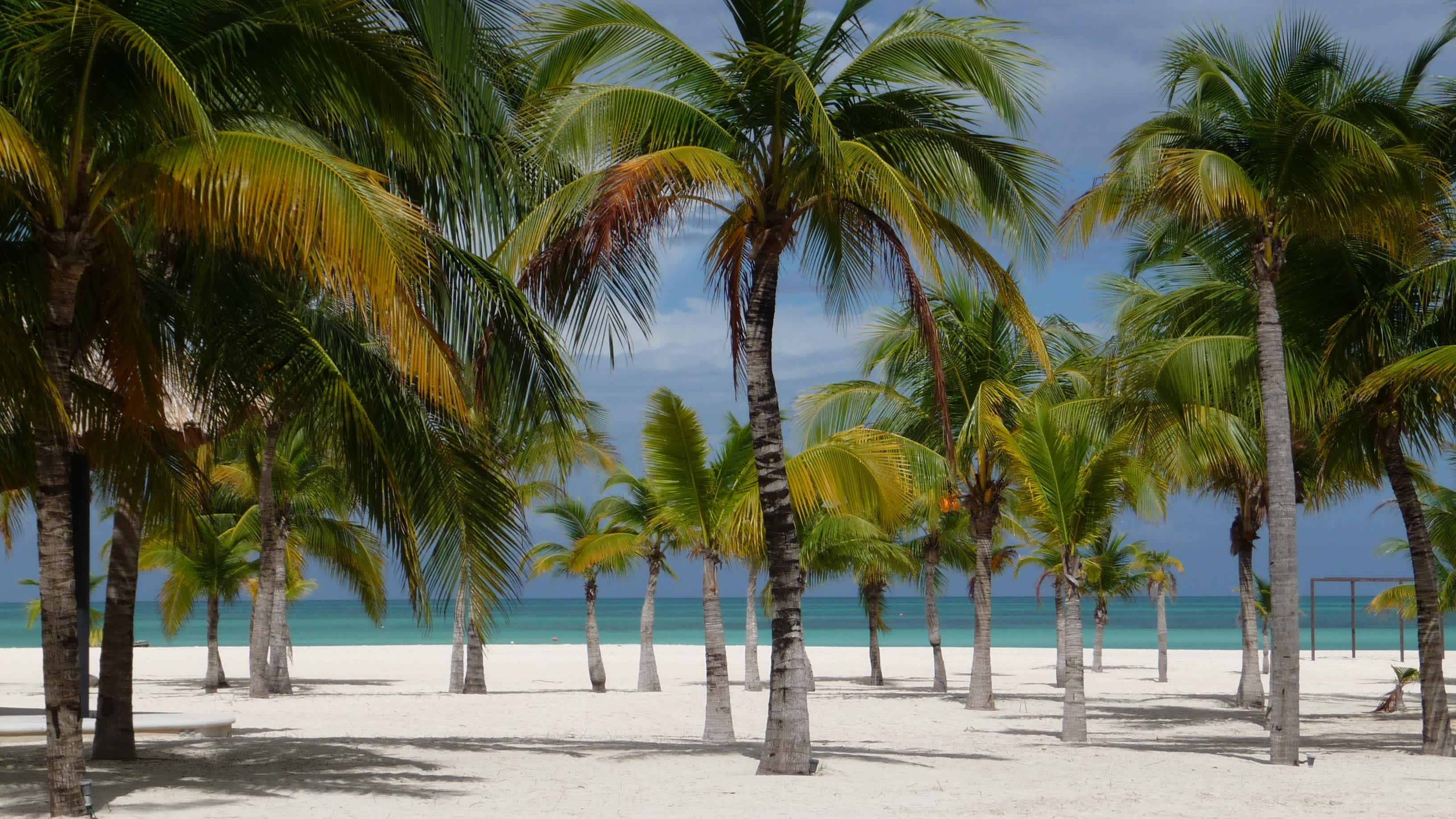 Die Insel der Leidenschaft in der Nähe von Cozumel/Mexiko bei Sonnenschein und mit Blick auf das Meer sowie Palmen.