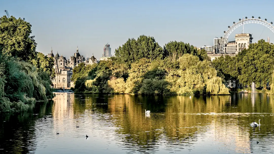 St. James’s Park mit London Eye im Hintergrund, London, England, Vereinigtes Königreich.