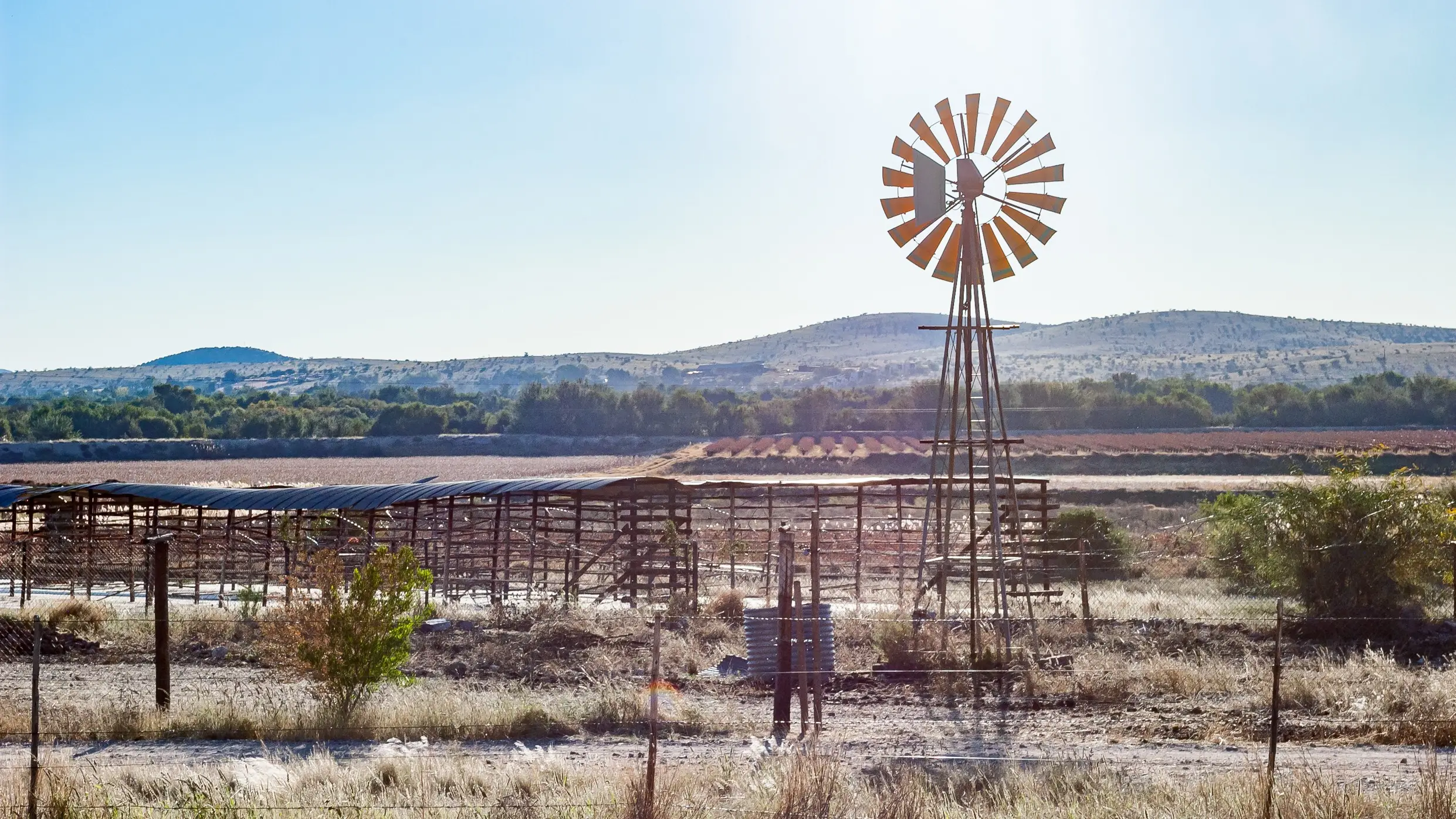Vignobles près d'Upington en Afrique du Sud