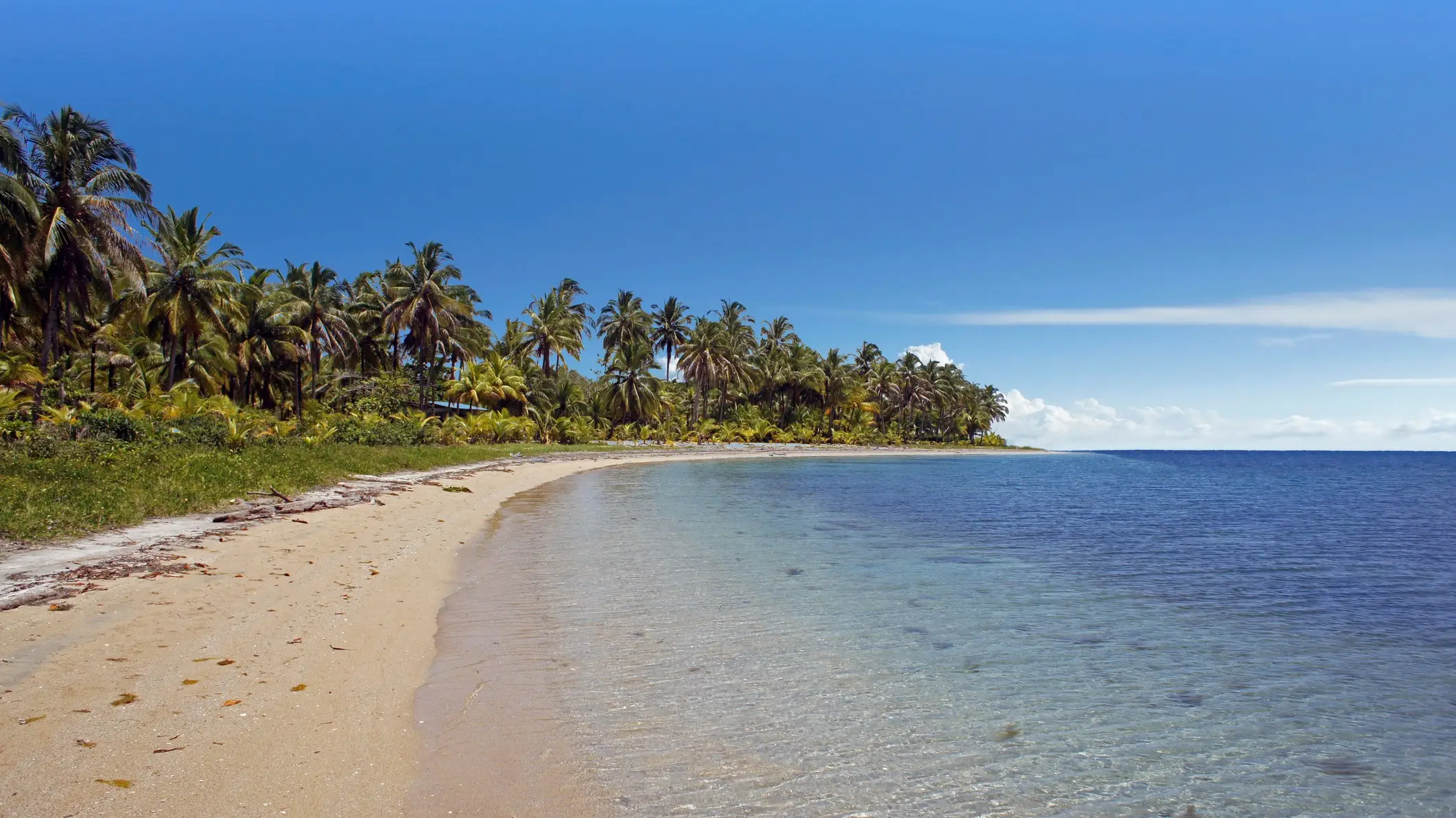 Playa del Toro, Argentinien Starfrog Strand in Bocas del Toro