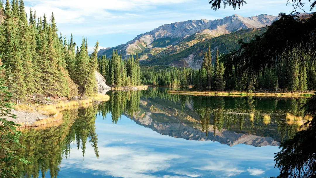 Spiegelung von Bergen und Bäumen auf einem ruhigen See, Denali-Nationalpark, Alaska, USA.