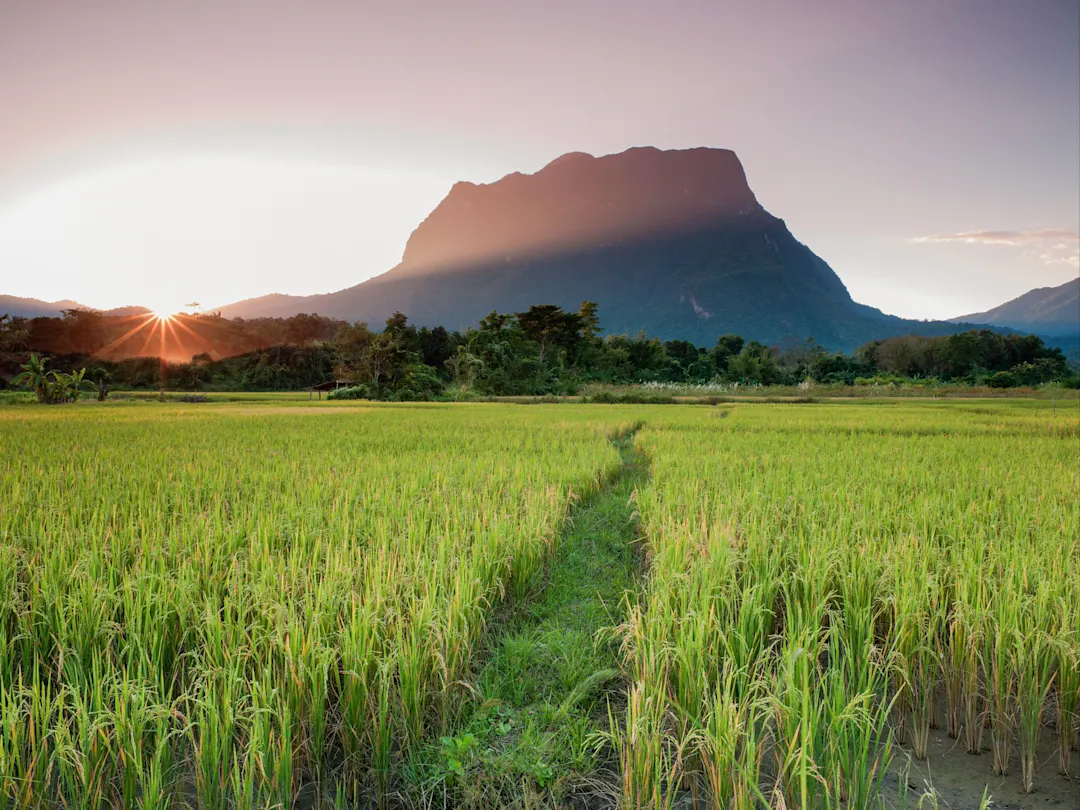 Grüne Hügel und beeindruckende Felsenlandschaft rund um Chiang Dao in Thailand