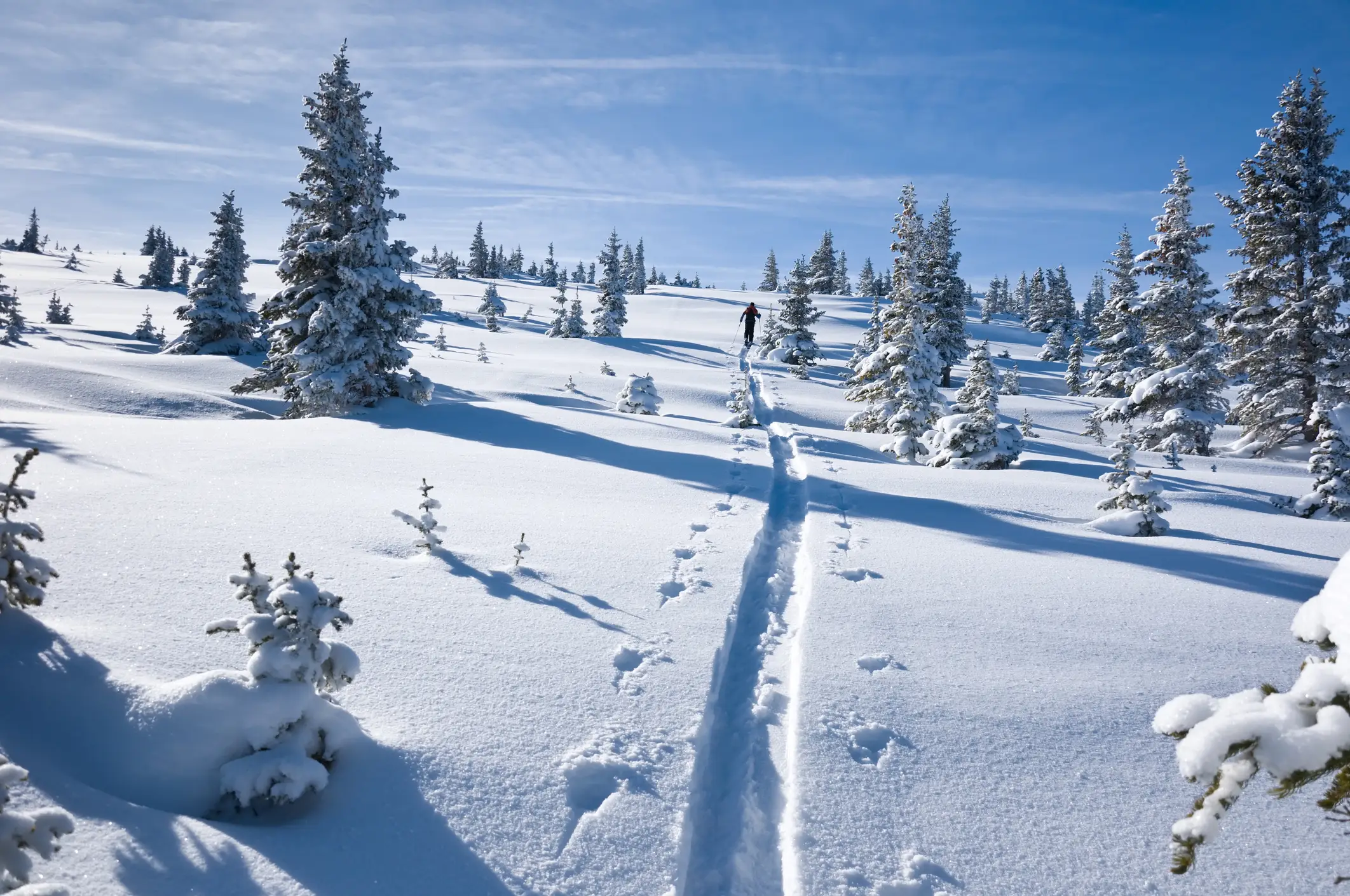USA, Colorado, Vail, Ski Skifahrer Skitouren in den Bergen mit frischen Schnee in Vail