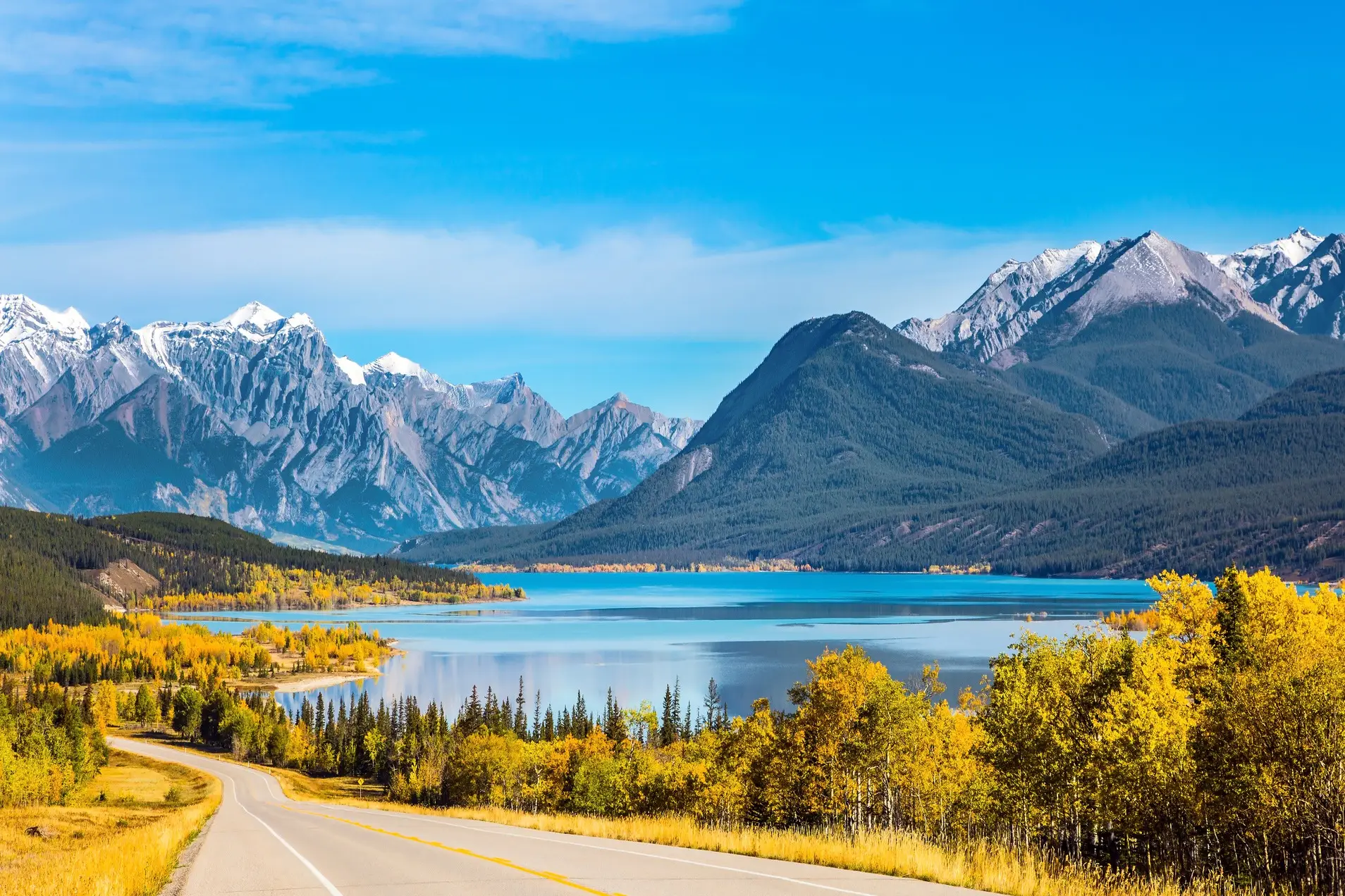 Kanada Indian Summer Indian Summer am Ufer des Abraham Lake in den Great Canadian Rockies.