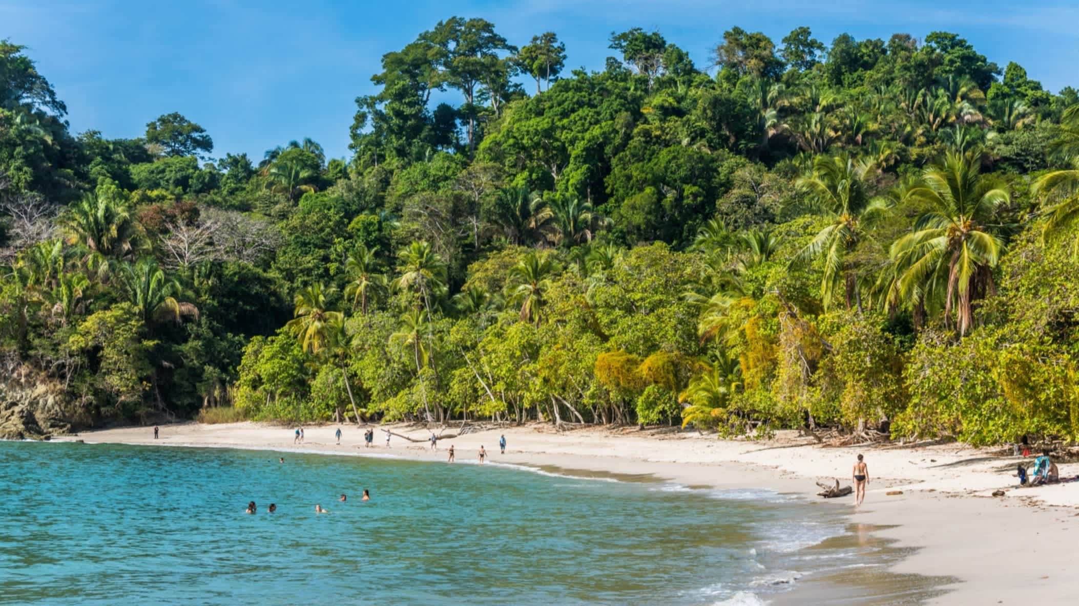 Blick auf den Biesanz-Strand in der Nähe des Nationalparks Manuel Antonio in Costa Rica mit Besuchern am Strand und Menschen im Wasser sowie dichtem Dschungel im Hintergrund. 