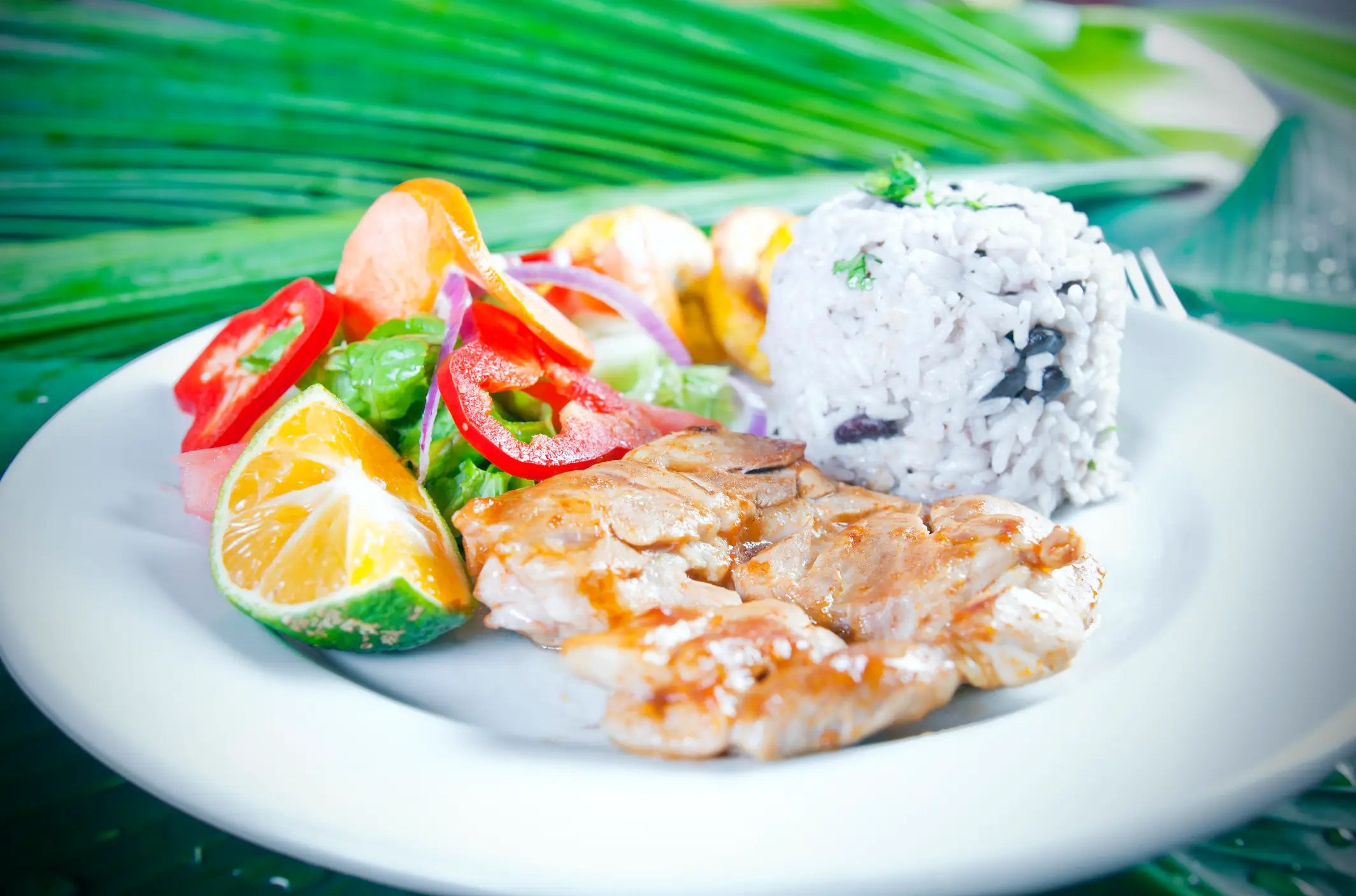 Casado de poisson, repas traditionnel costaricien.

